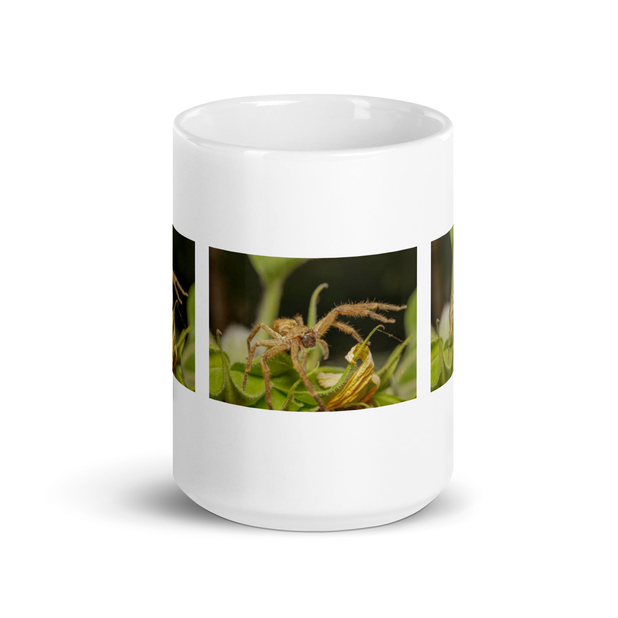 "Spider Mug #1: The Web-Spinning Weaver (Ceramic)"