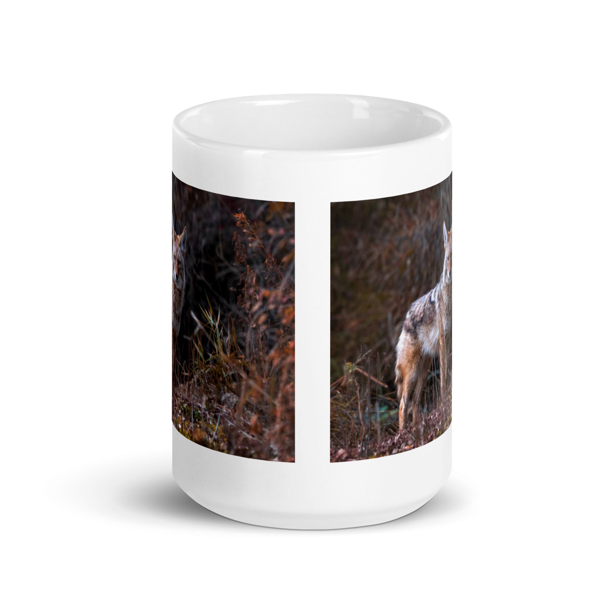 "Coyote Mug #1: The Adaptable Songdog (Ceramic)"