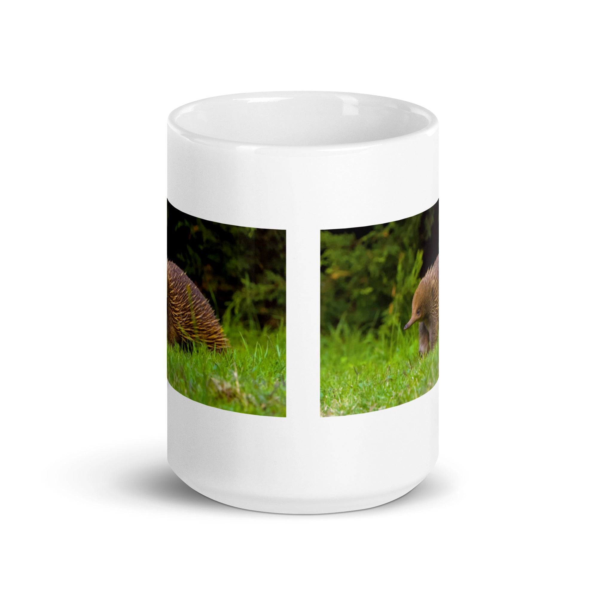 "Echidna Mug #1: The Spiny Anteater (Ceramic)"