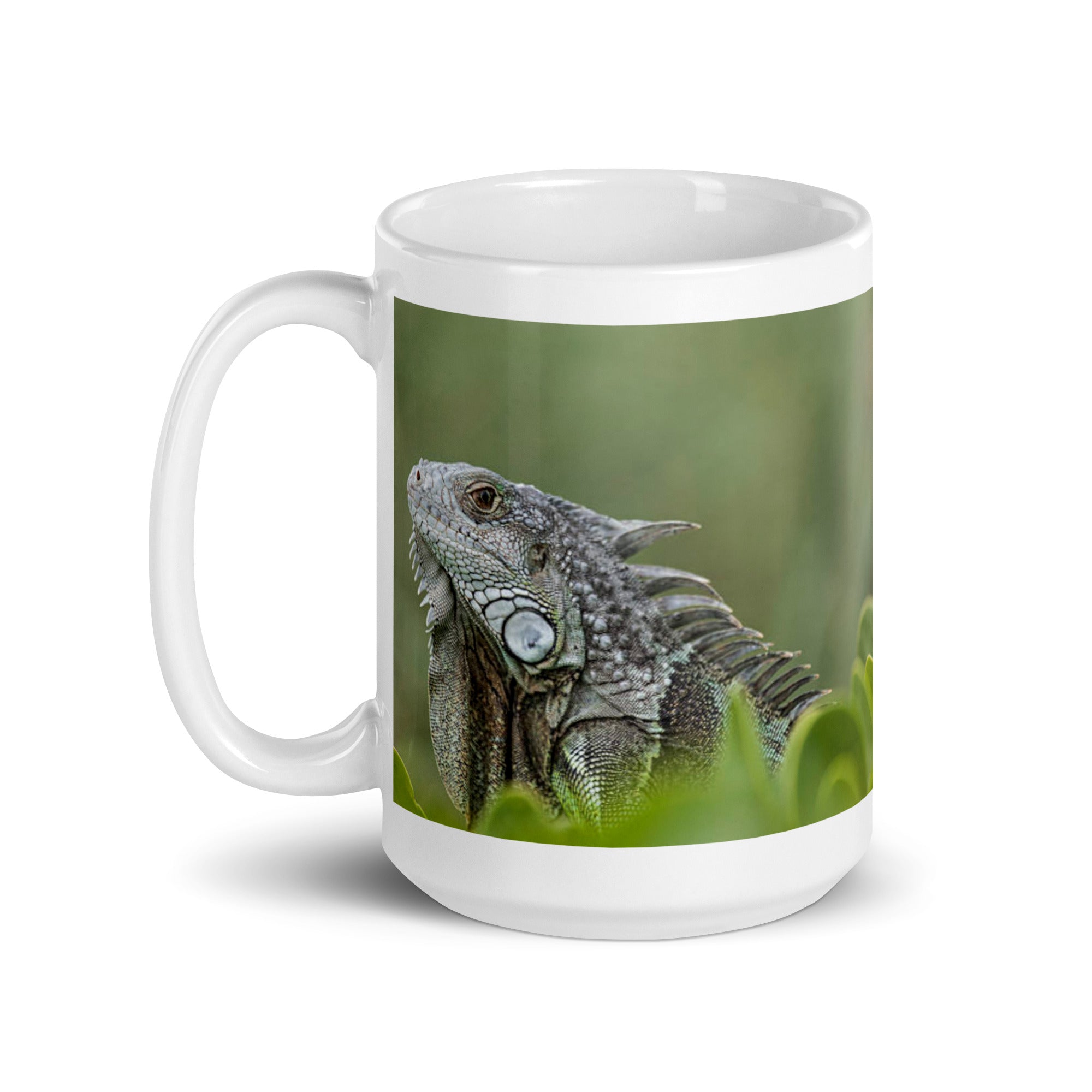 "Iguana Mug #1: Grace and Serenity of the Tropics (Ceramic)"