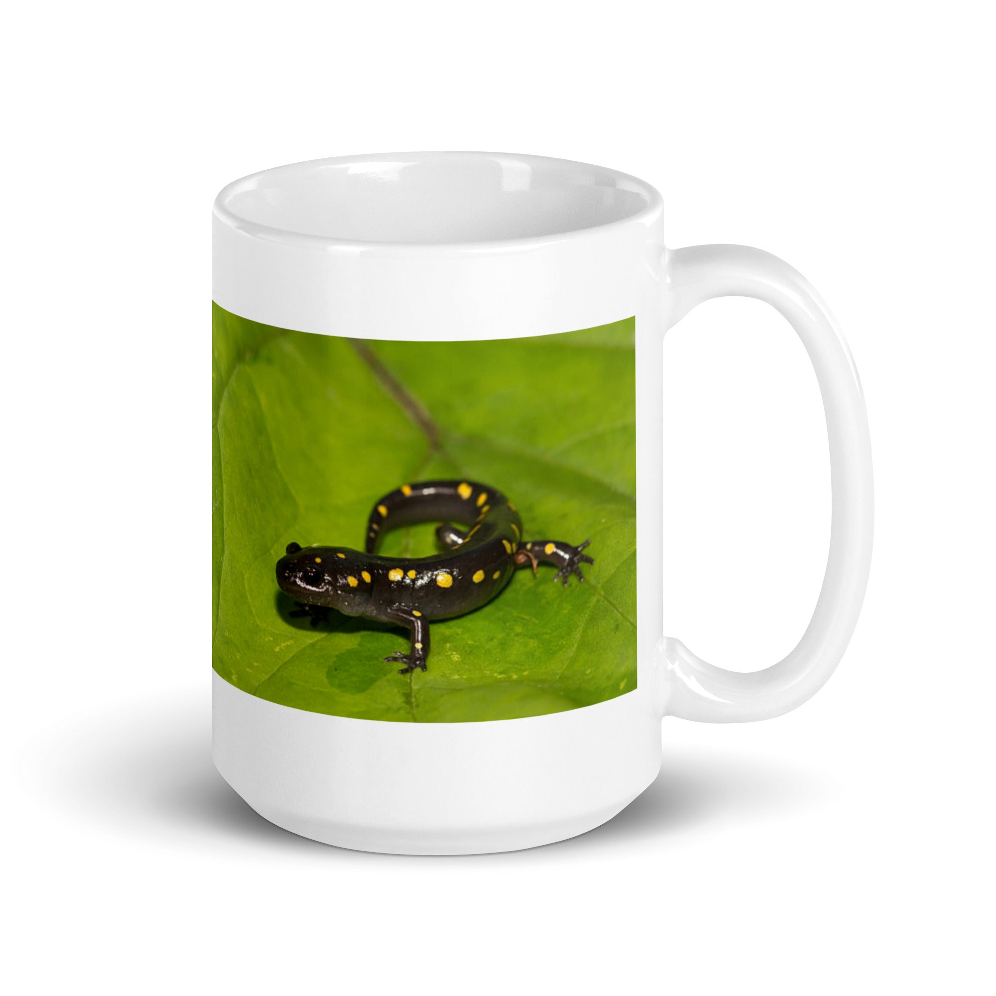 "Salamander Mug #1: Embrace the Mystical Ambiance (Ceramic)"