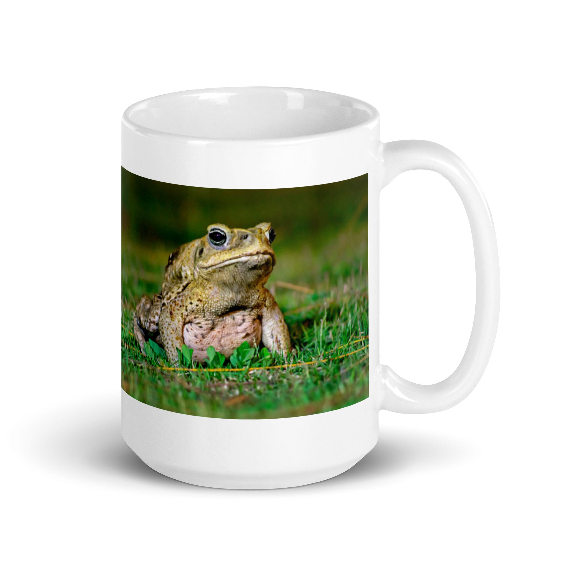 "Toad Mug #1: Celebrate the Wise (Ceramic)"