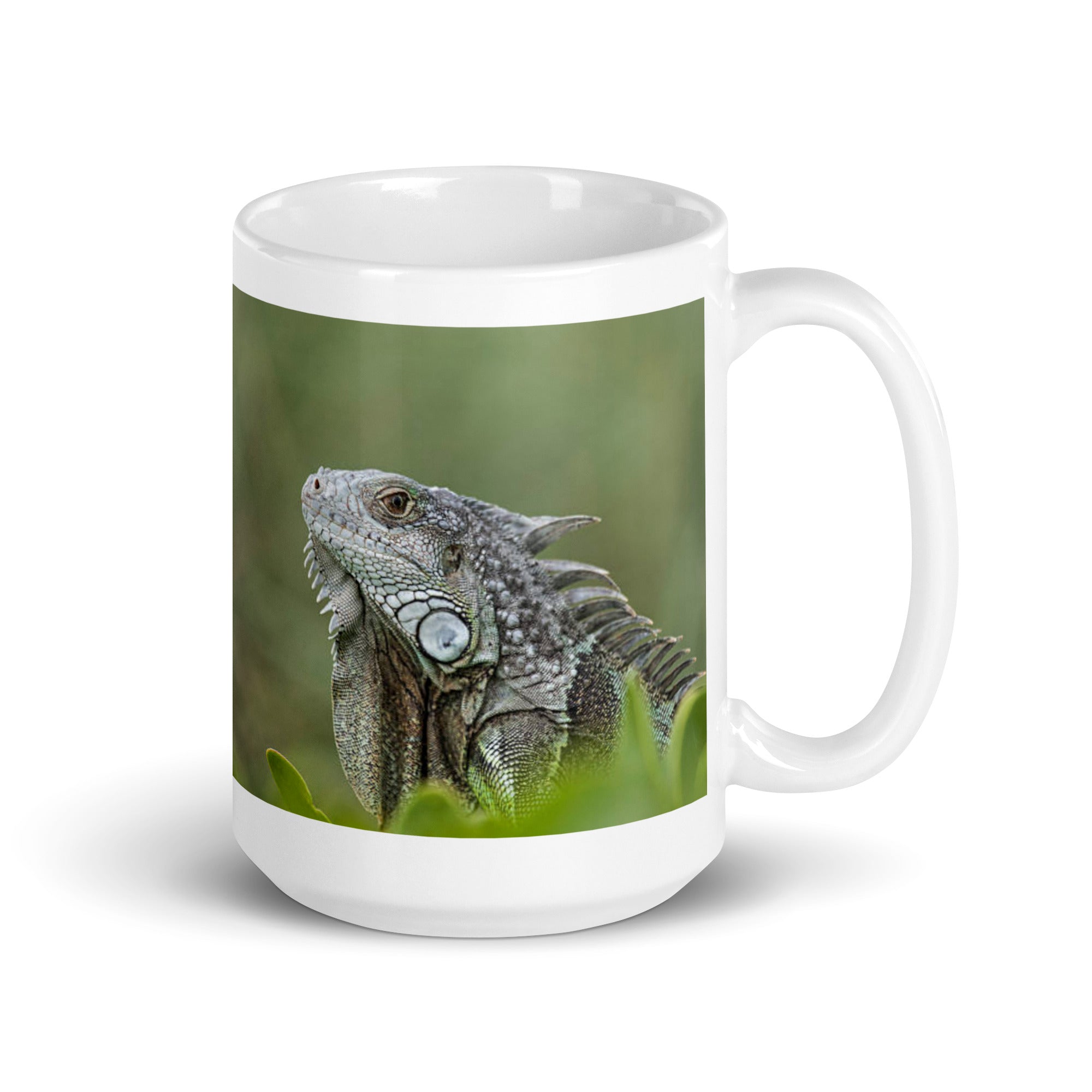 "Iguana Mug #1: Grace and Serenity of the Tropics (Ceramic)"