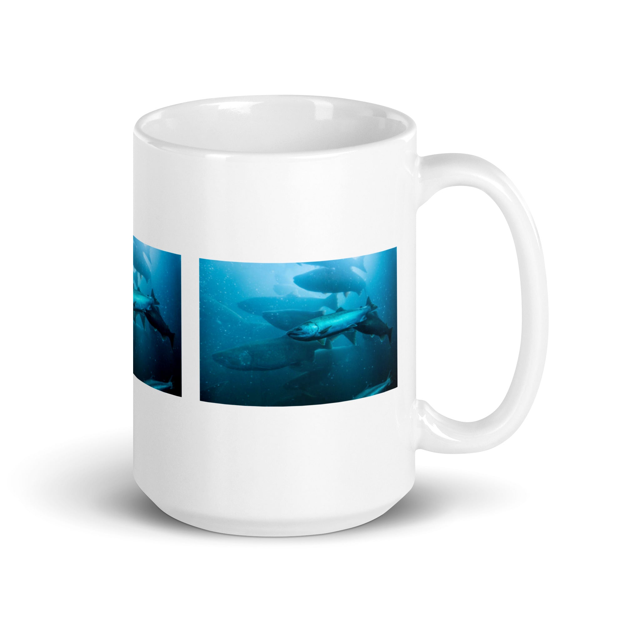 "Salmon Mug #1: The Upstream Journeyer (Ceramic)"