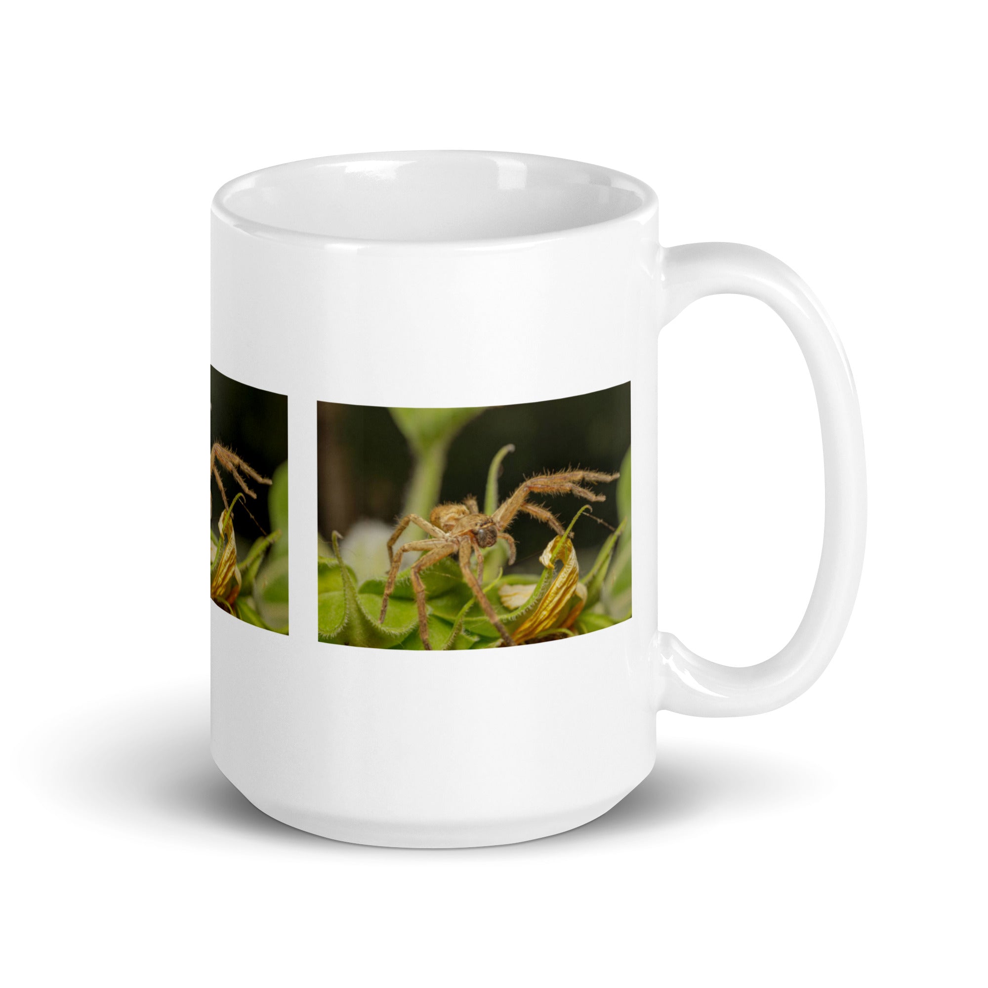 "Spider Mug #1: The Web-Spinning Weaver (Ceramic)"