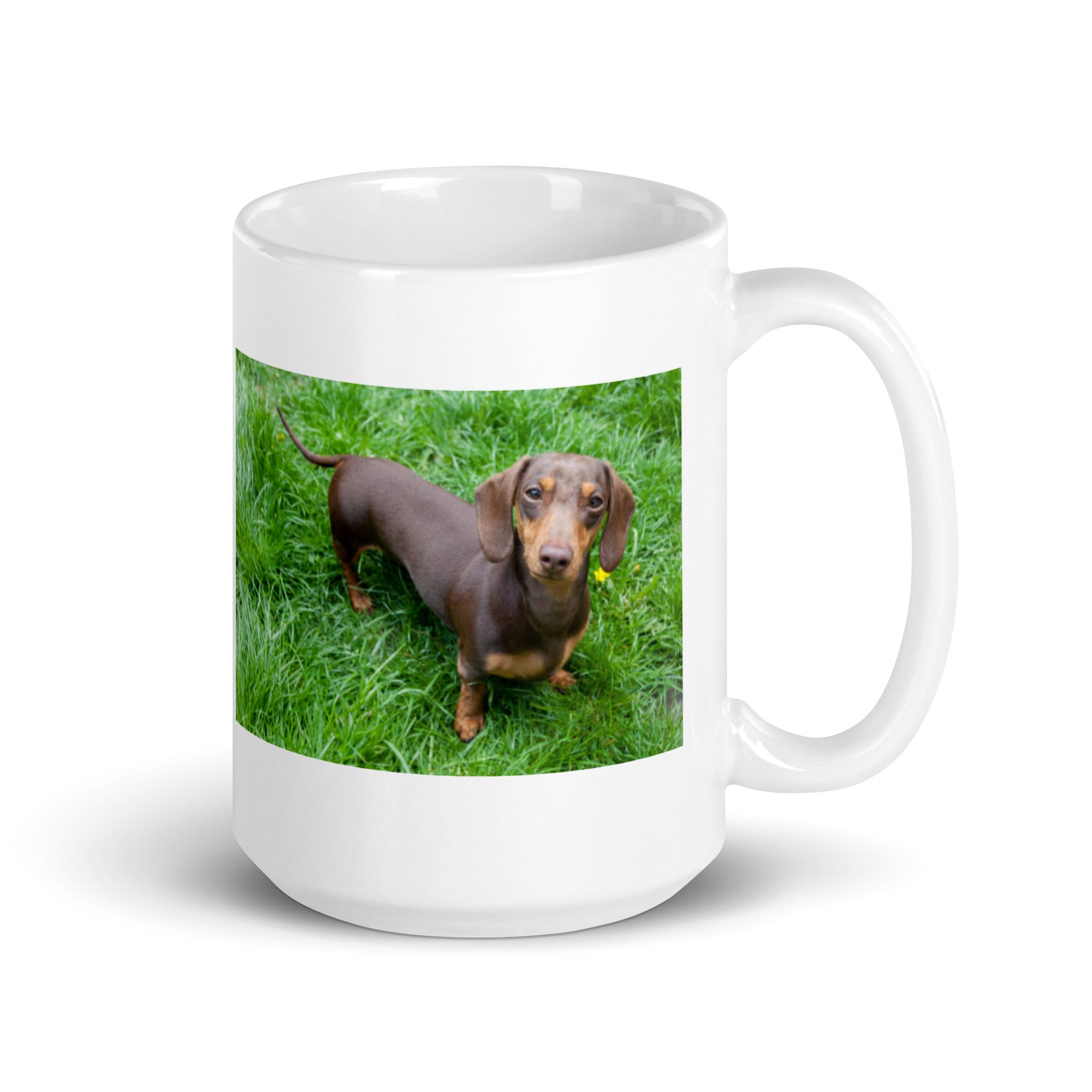 "Dachshund Mug #1: The Short-legged Sniffer (Ceramic)"