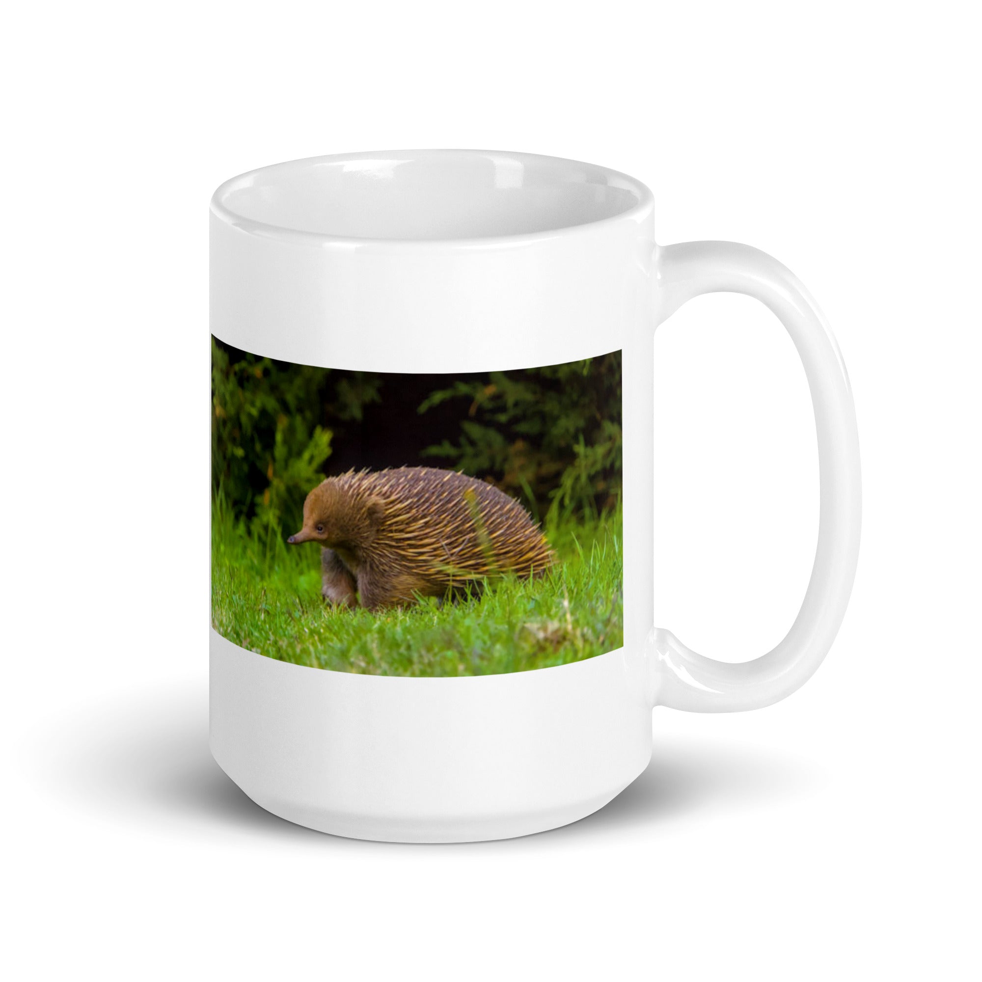 "Echidna Mug #1: The Spiny Anteater (Ceramic)"