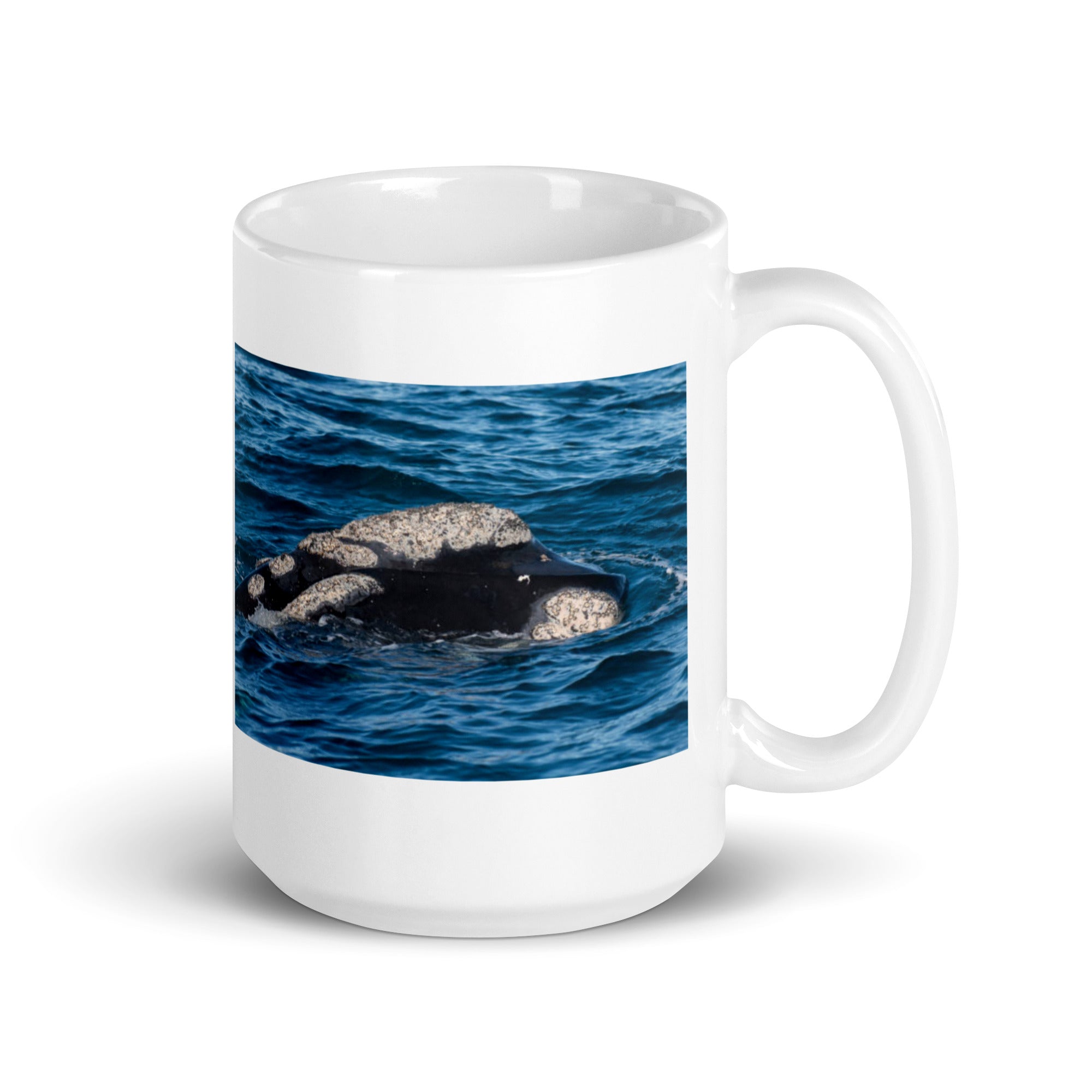 Southern Right Whale Mug #1: The Callosities Connoisseur (Ceramic)