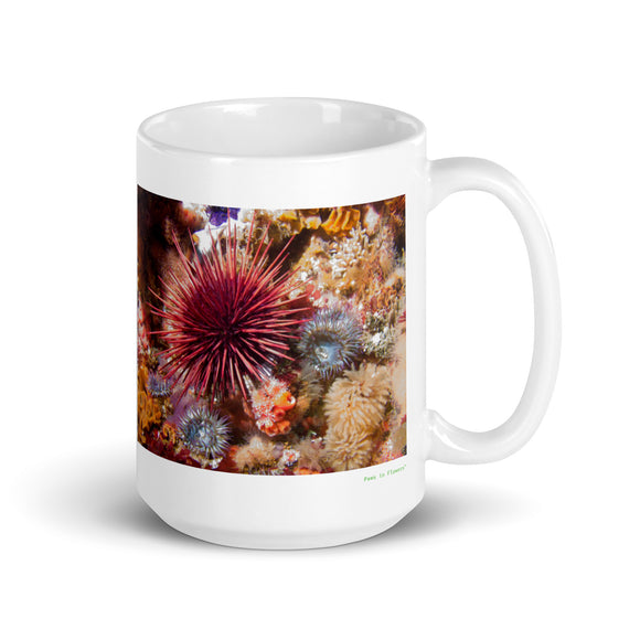 15 oz. white ceramic sea urchin mug showing a sea urchin in its natural habitat