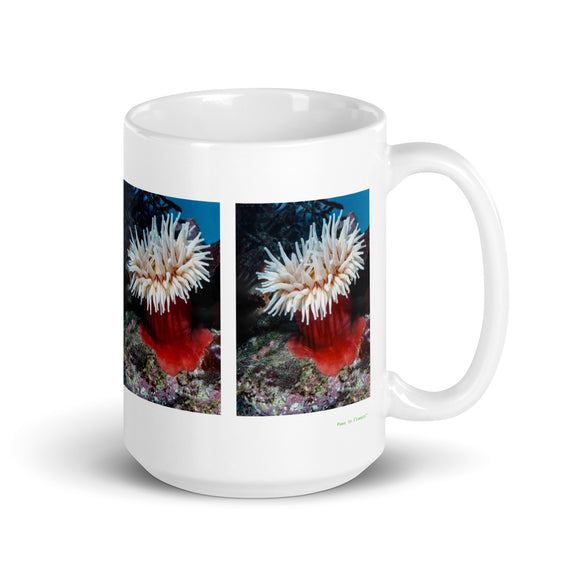 15 oz. white ceramic sea anemone mug showing a sea anemone in its natural habitat