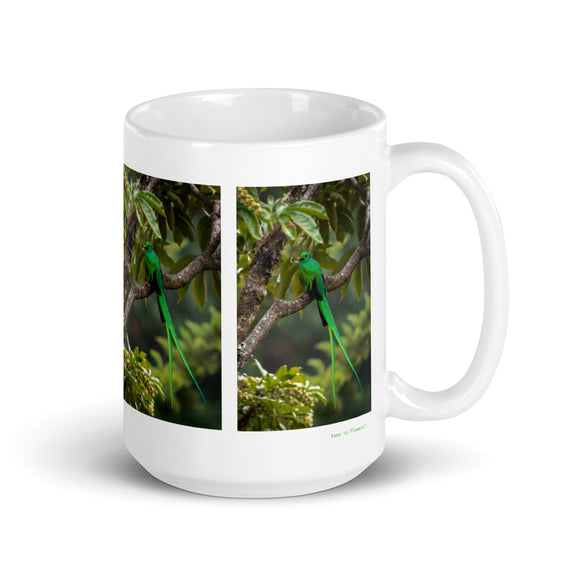 15 oz. white ceramic quetzal mug showing a quetzal in its natural habitat
