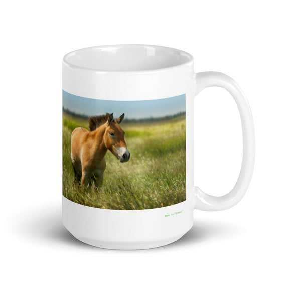 15 oz. white ceramic horse mug showing a horse in its natural habitat