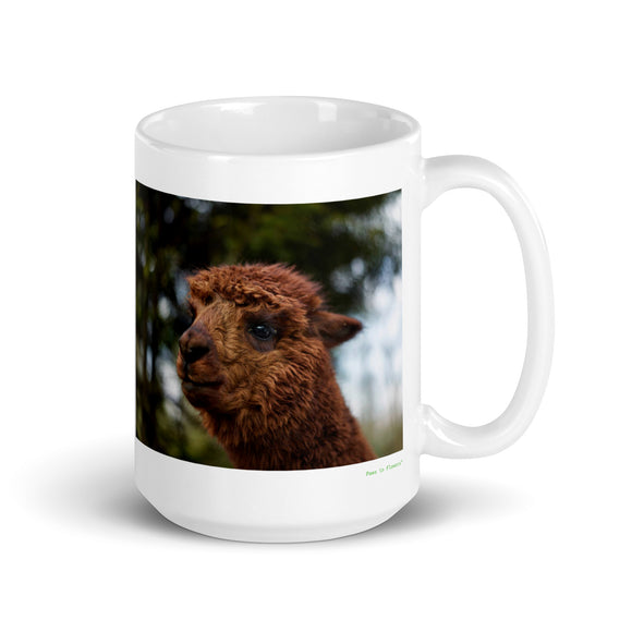 15 oz. white ceramic Llama mug showing a Llama in its natural habitat