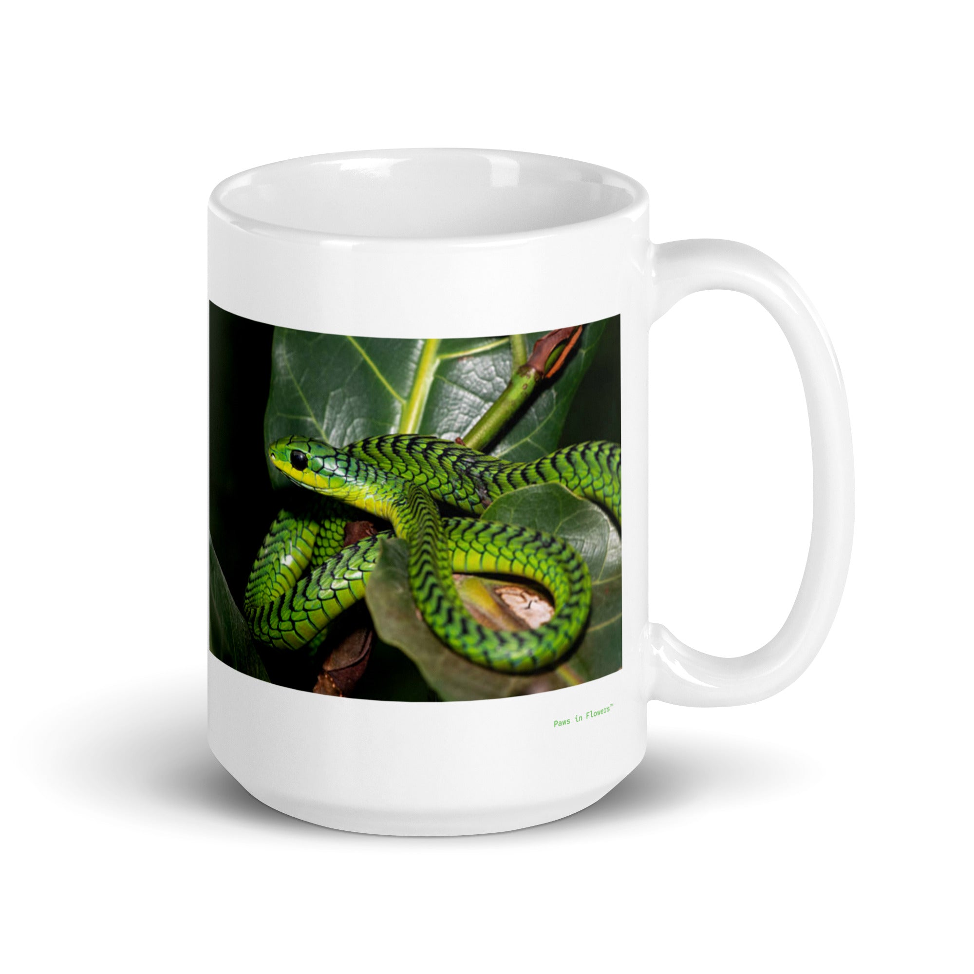 15 oz. white ceramic boomslang mug showing a boomslang in its natural habitat