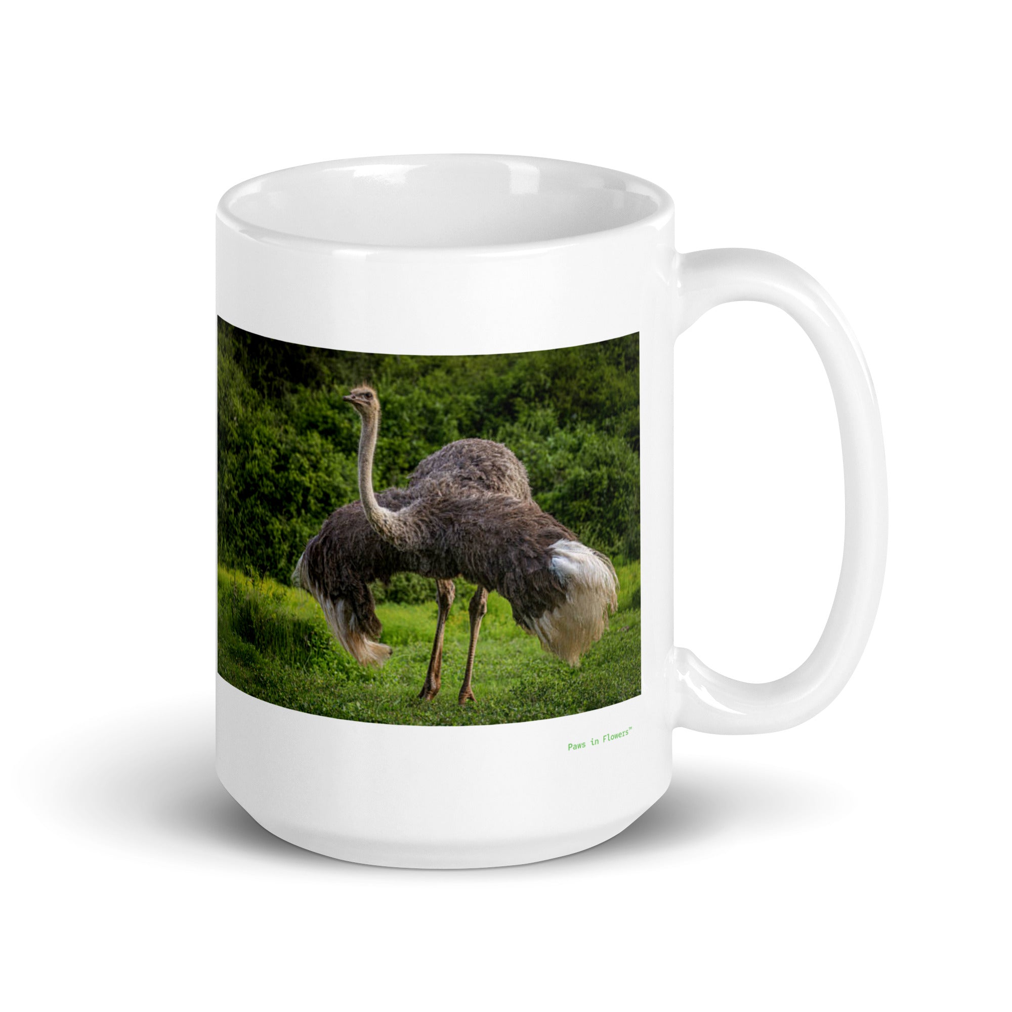 15 oz. white ceramic rhea bird mug showing a rhea bird in its natural habitat