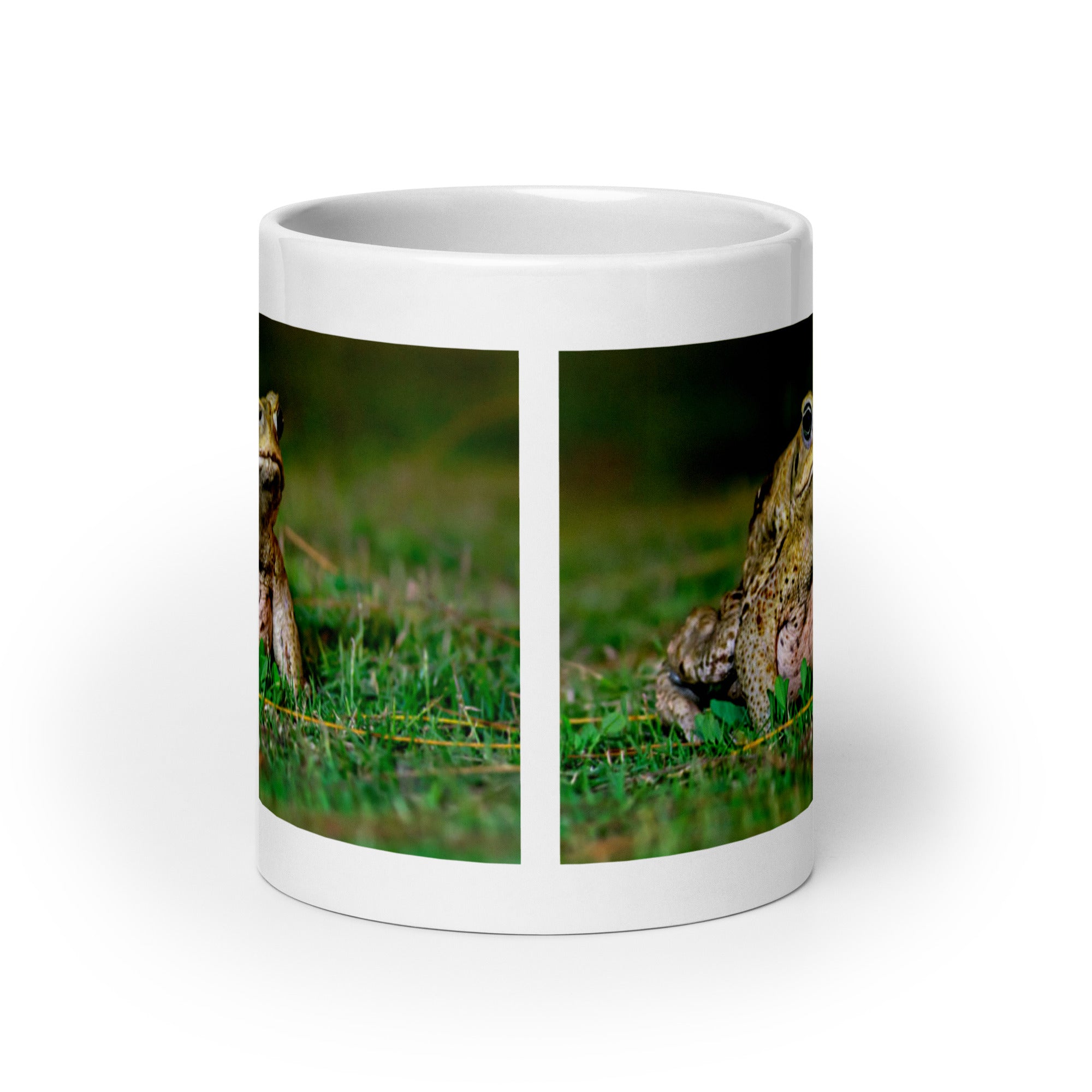 "Toad Mug #1: Celebrate the Wise (Ceramic)"