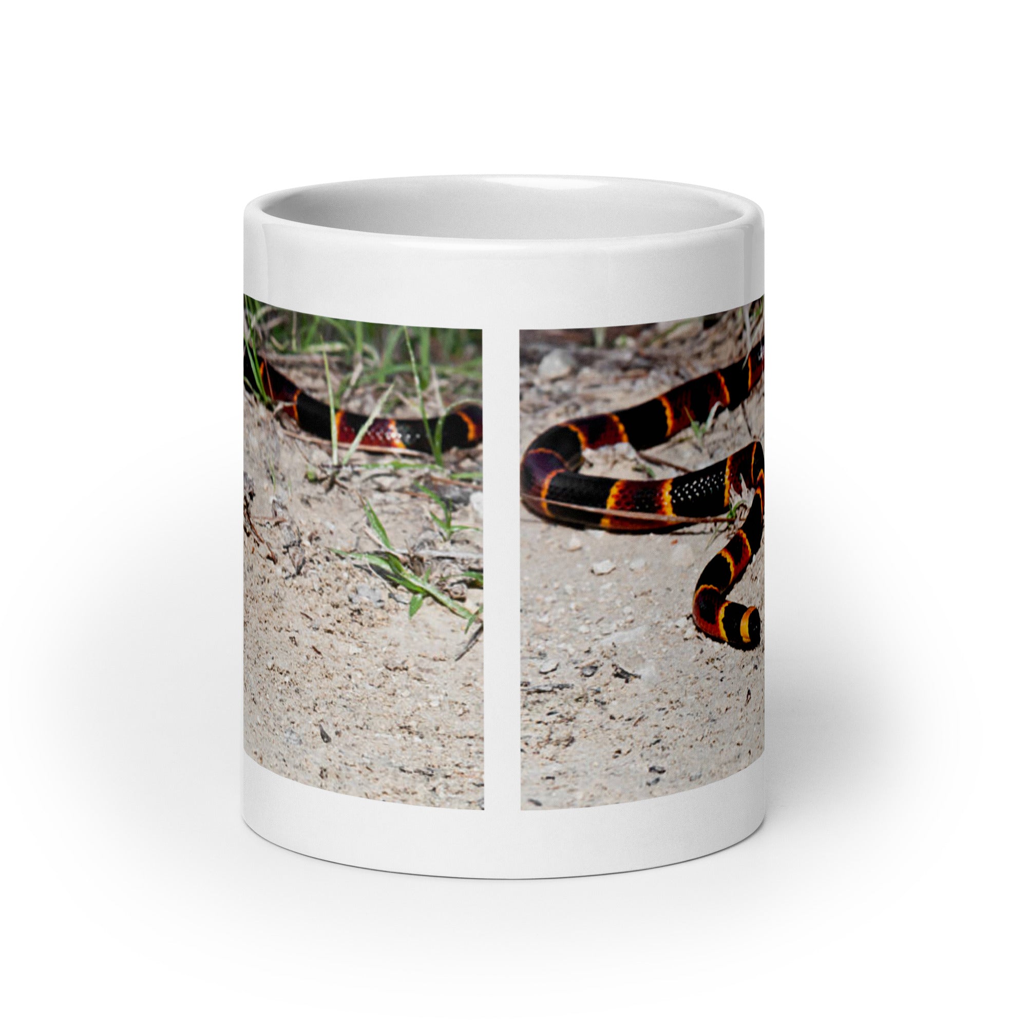 "Coral Snake Mug #1: Vibrant Beauty of the Wild  (Ceramic)"