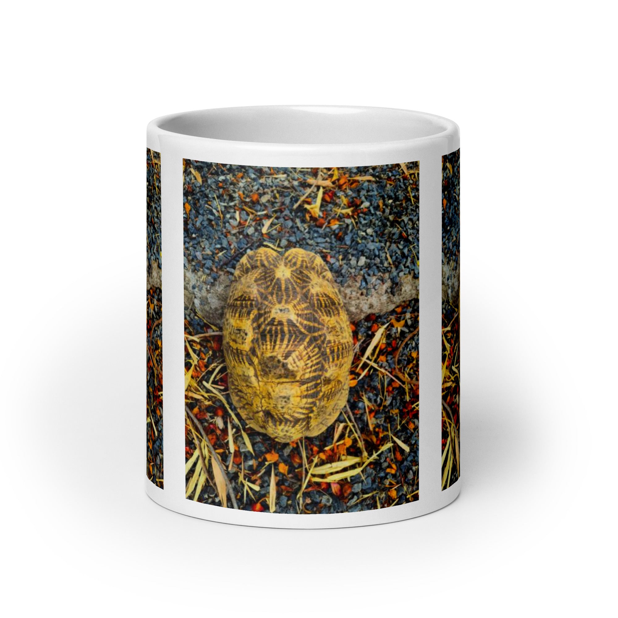 "Geometric Tortoise Mug #1:  Elegance of Nature’s Geometry  (Ceramic)"