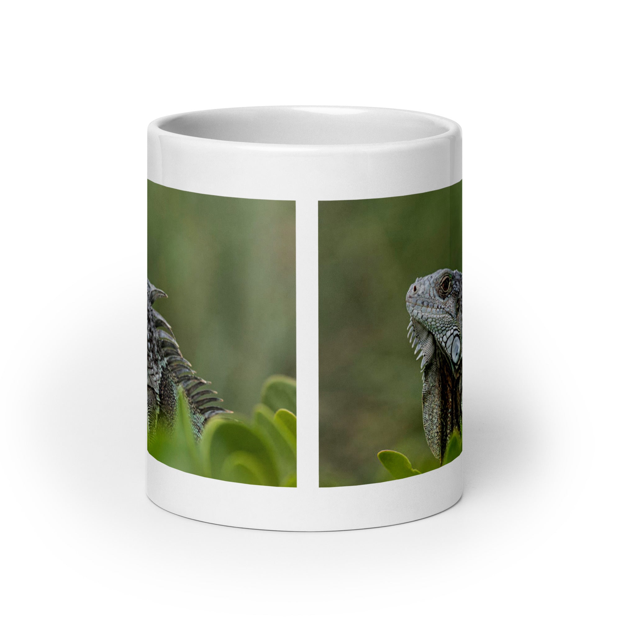 "Iguana Mug #1: Grace and Serenity of the Tropics (Ceramic)"