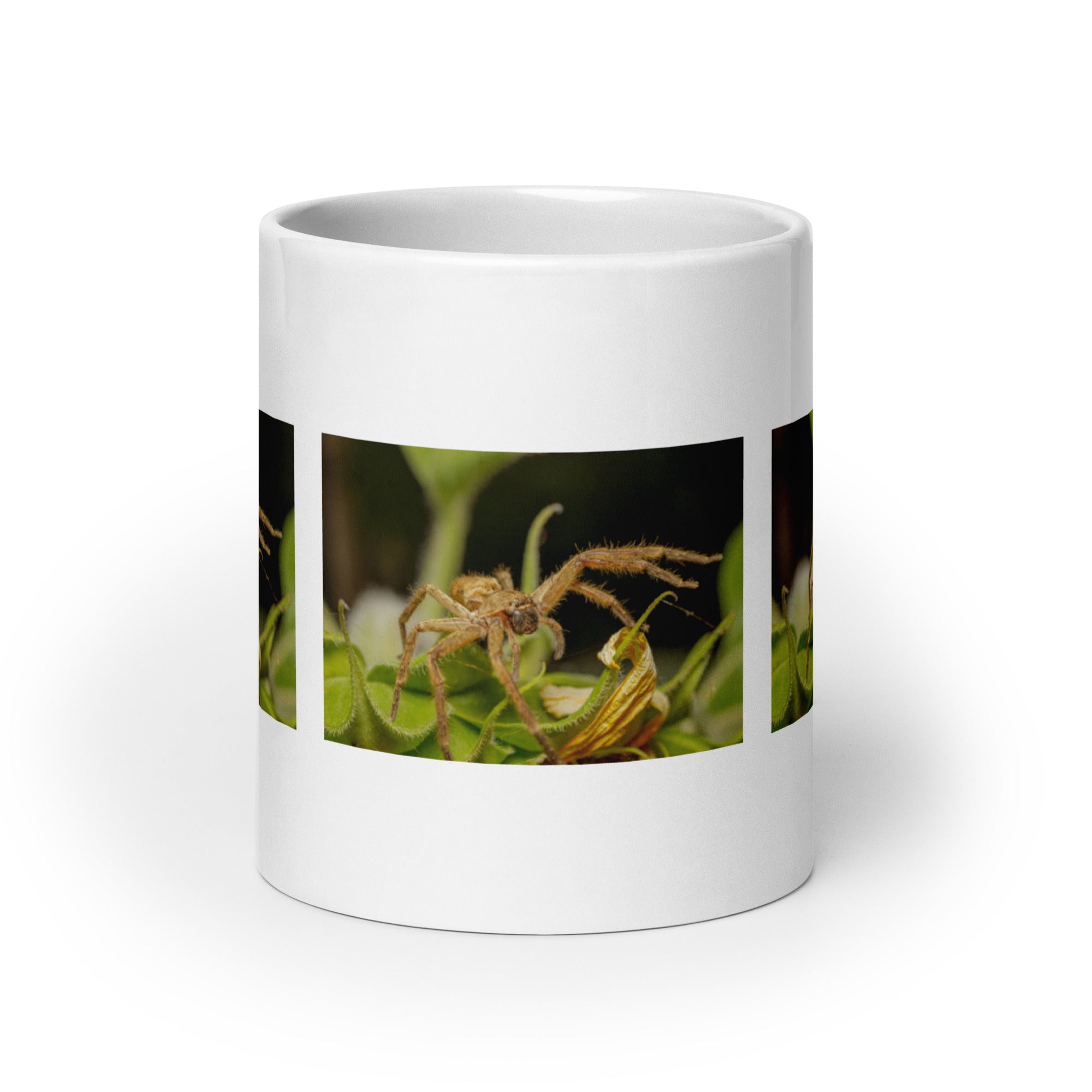 "Spider Mug #1: The Web-Spinning Weaver (Ceramic)"