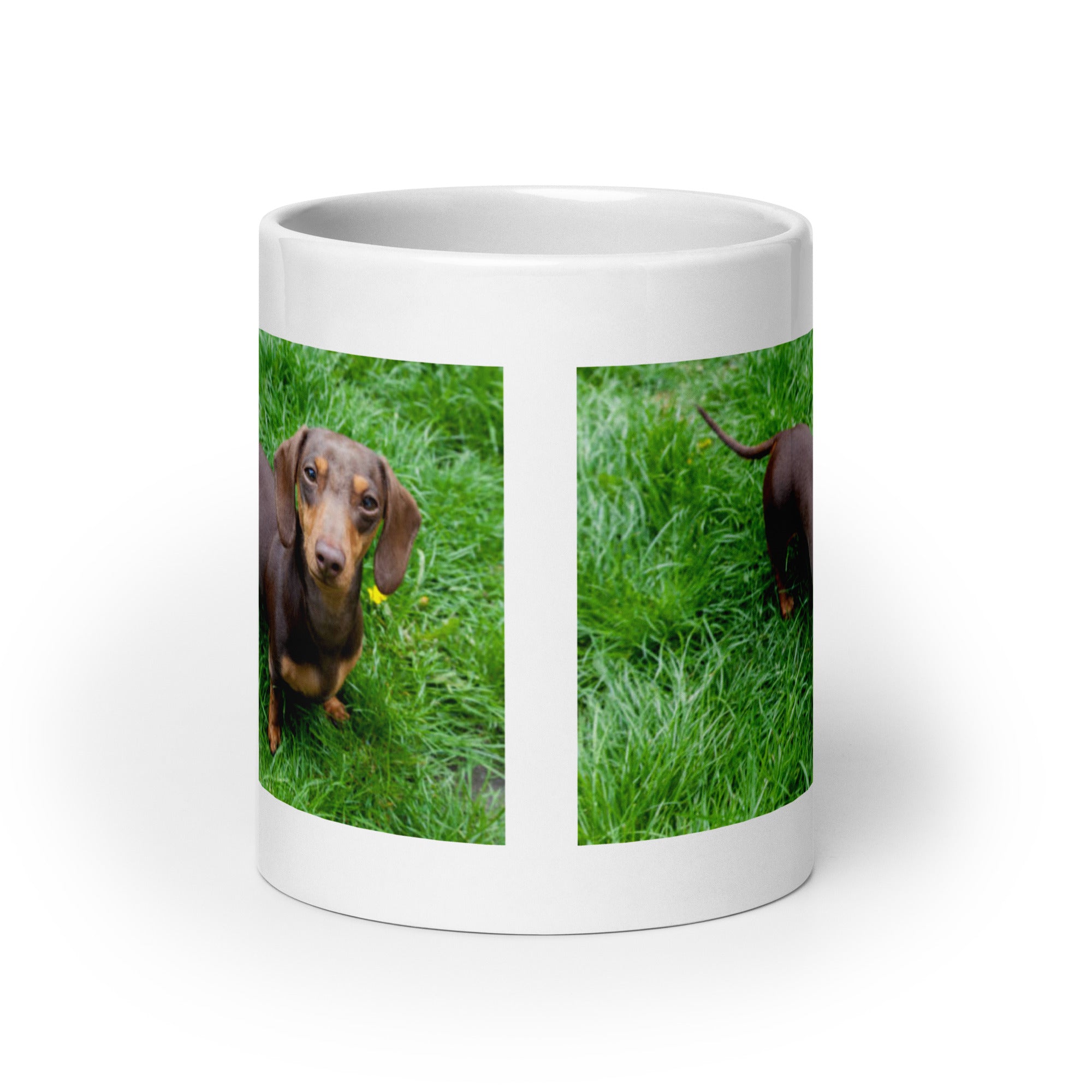 "Dachshund Mug #1: The Short-legged Sniffer (Ceramic)"