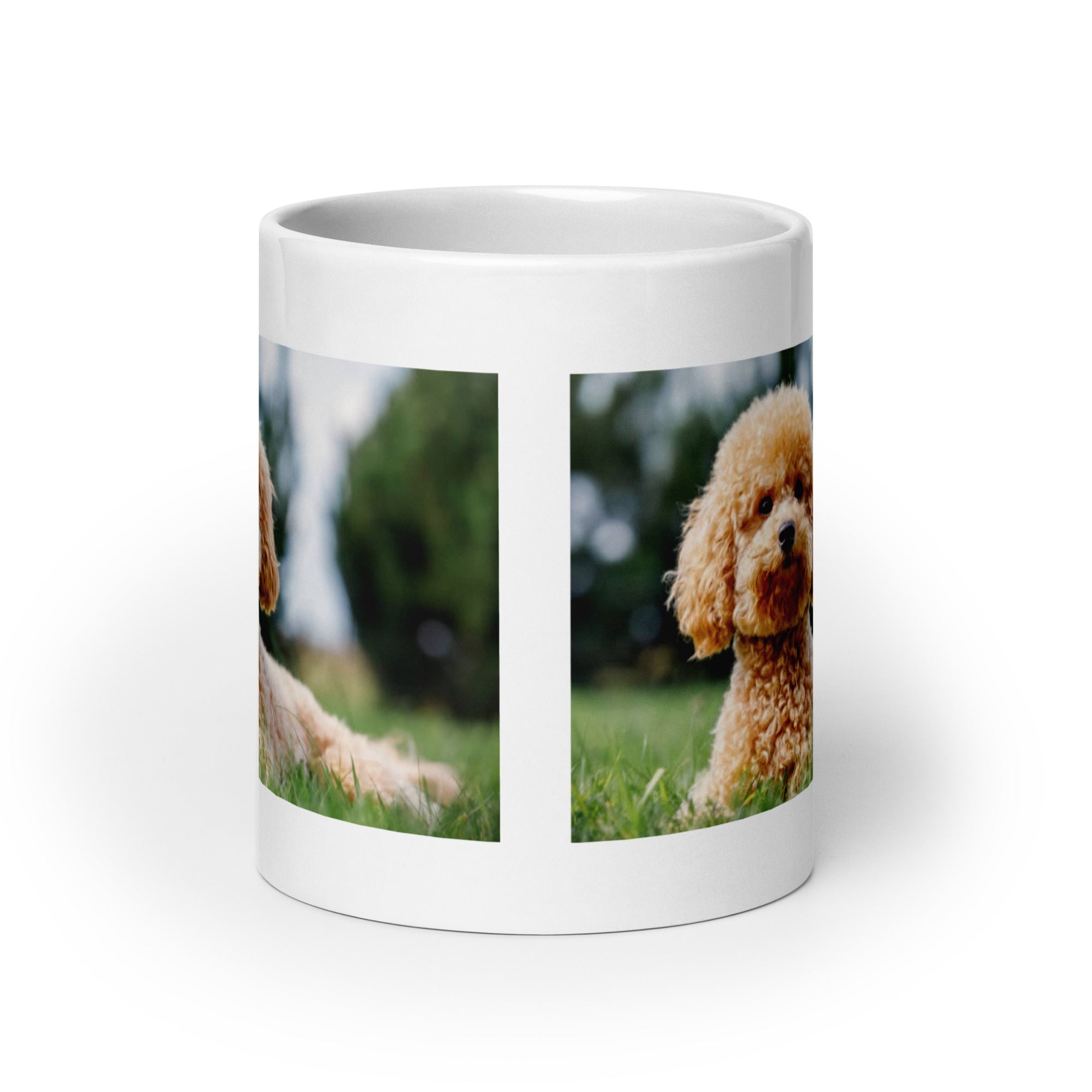 "Poodle Mug #1: The Intelligent Showstopper (Ceramic)"