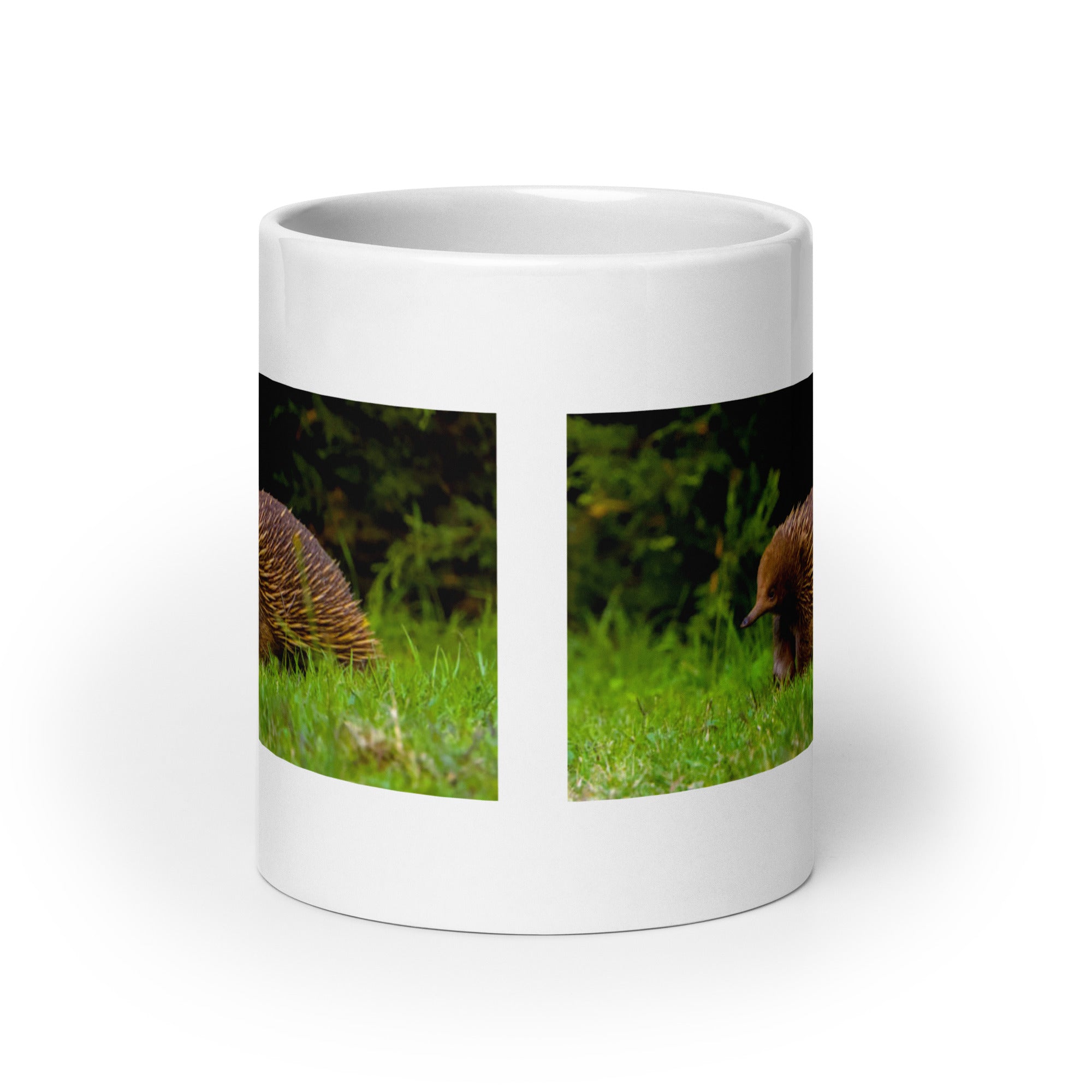 "Echidna Mug #1: The Spiny Anteater (Ceramic)"