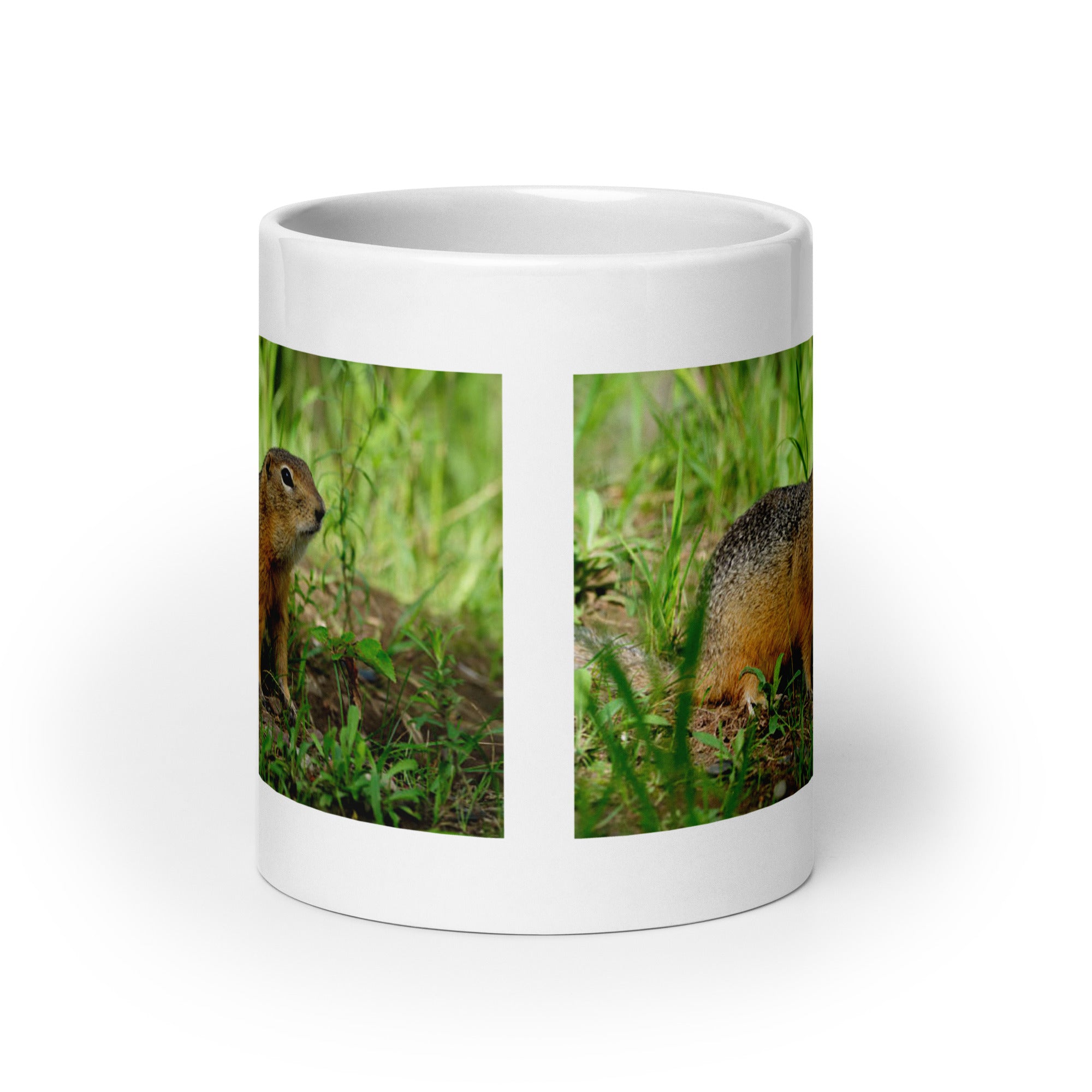 "Groundhog Mug #1: The Prognosticating Burrow-dweller (Ceramic)"