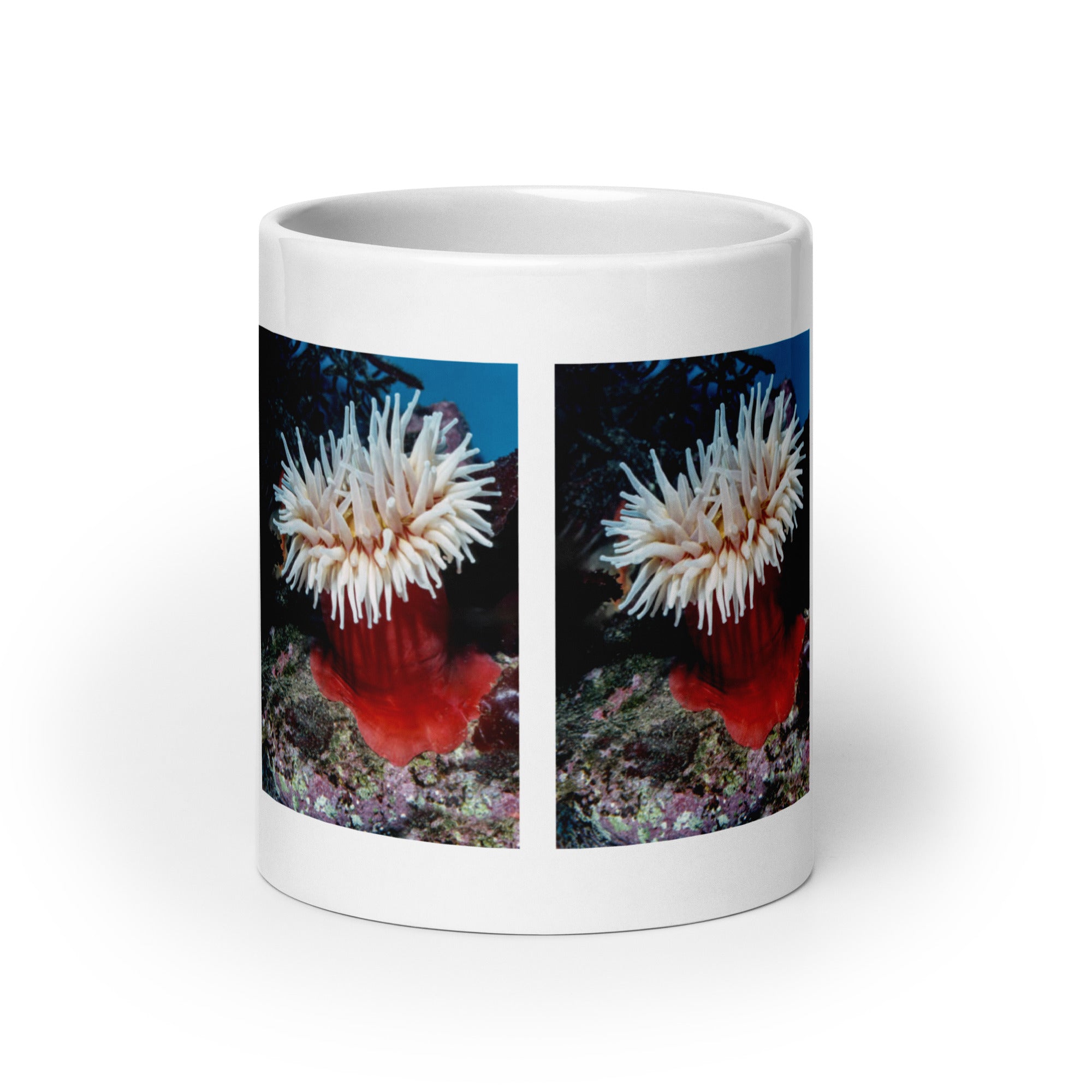 Sea Anemone Mug #1: The Flower of the Sea (Ceramic)