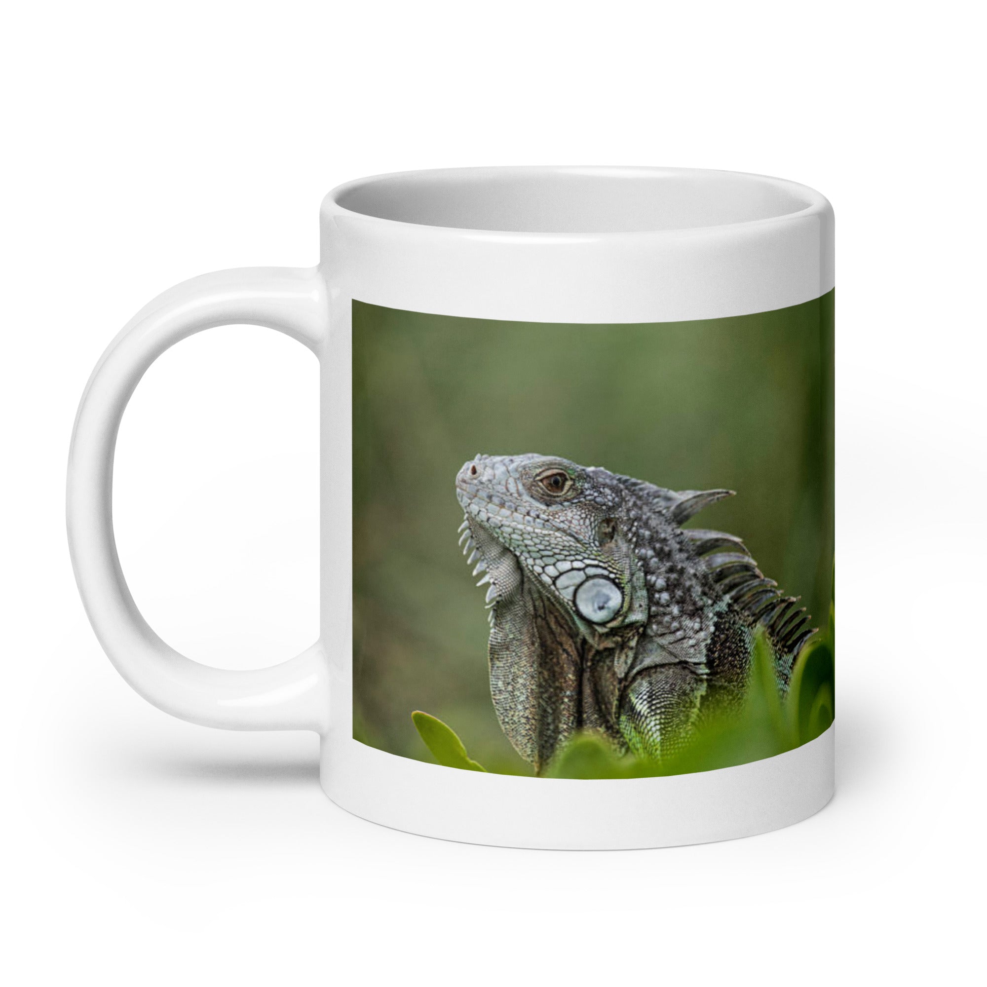 "Iguana Mug #1: Grace and Serenity of the Tropics (Ceramic)"