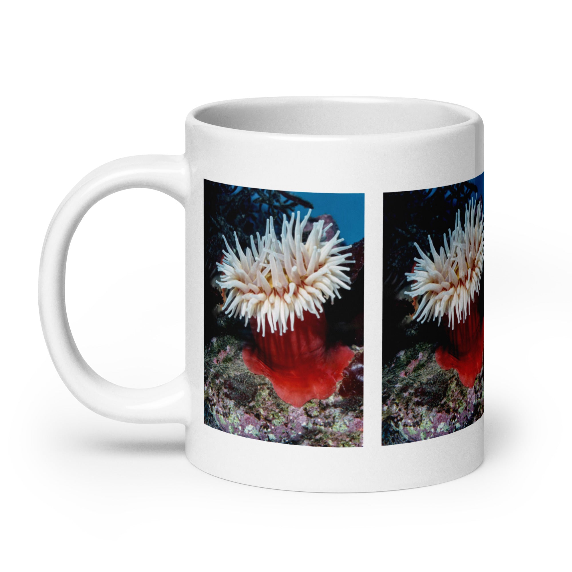 Sea Anemone Mug #1: The Flower of the Sea (Ceramic)