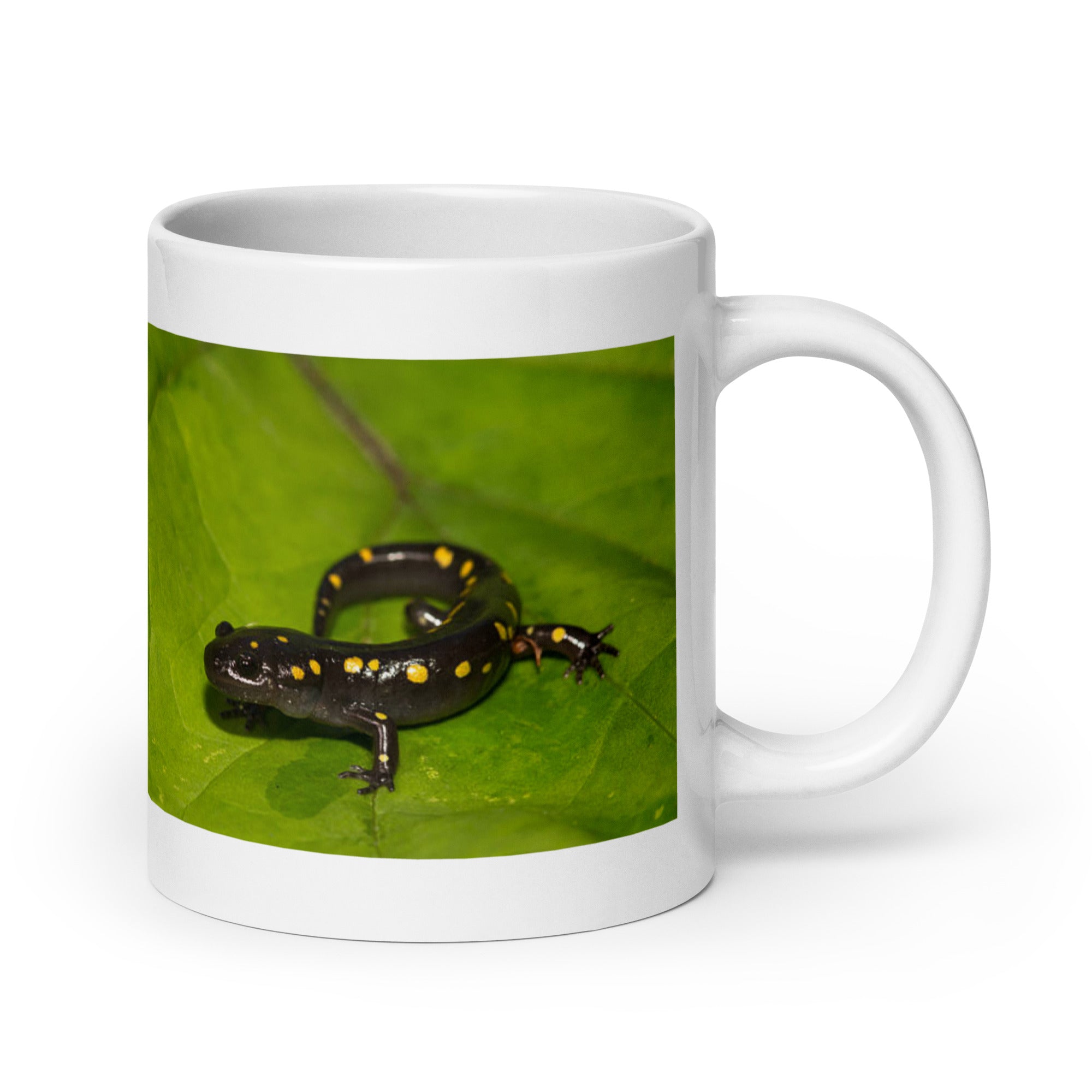 "Salamander Mug #1: Embrace the Mystical Ambiance (Ceramic)"