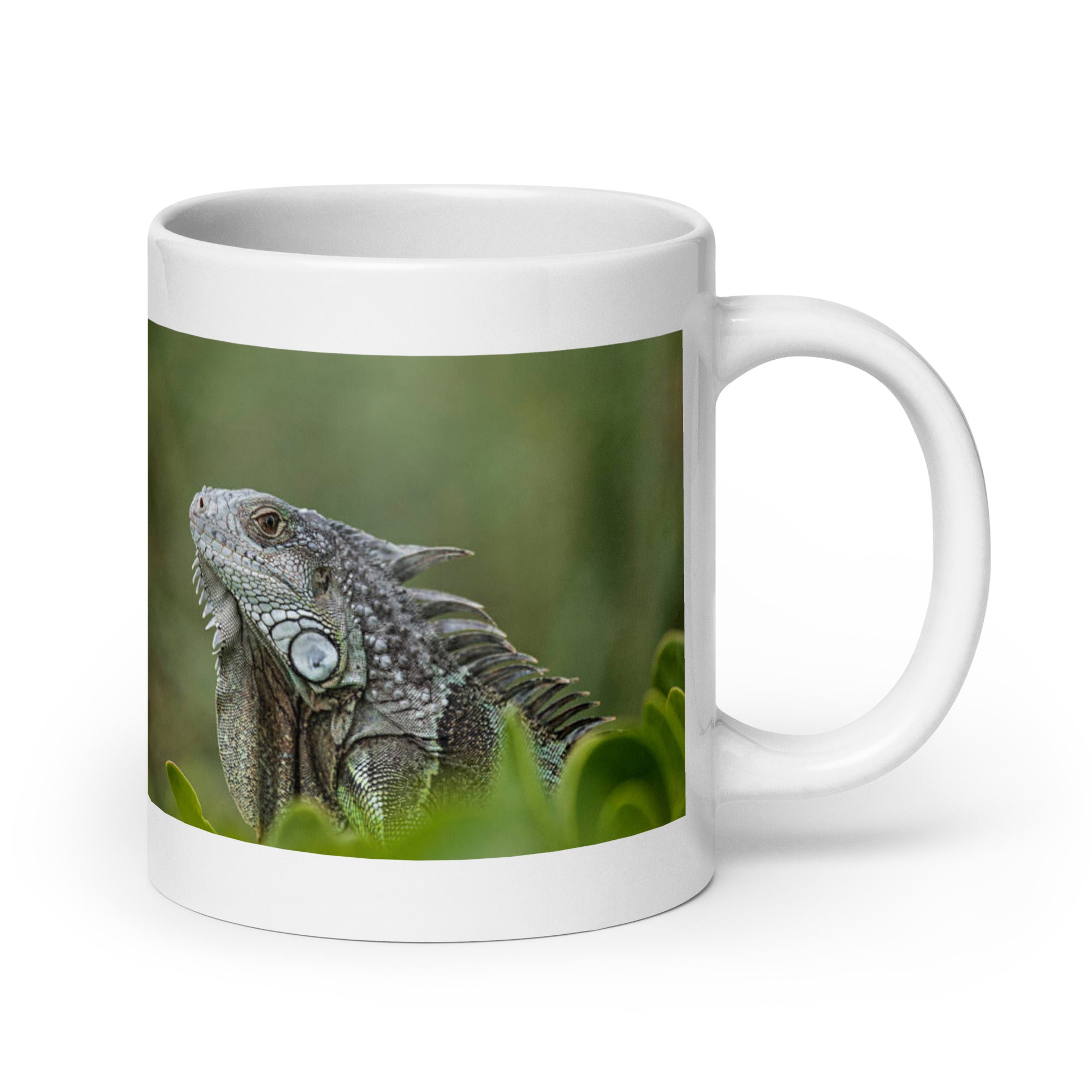 "Iguana Mug #1: Grace and Serenity of the Tropics (Ceramic)"