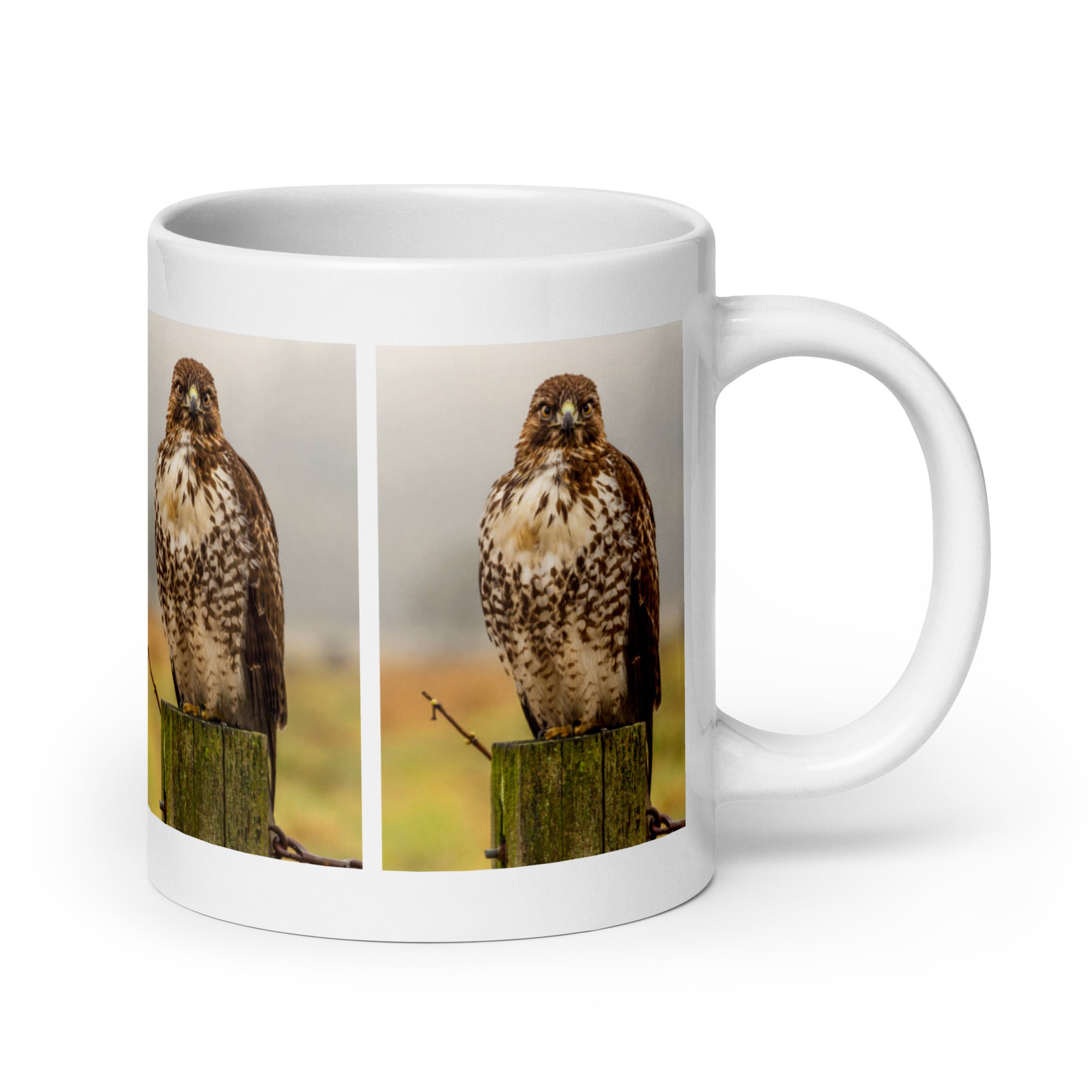 "Hawk Mug #1: The Sharp-Eyed Hunter (Ceramic)"