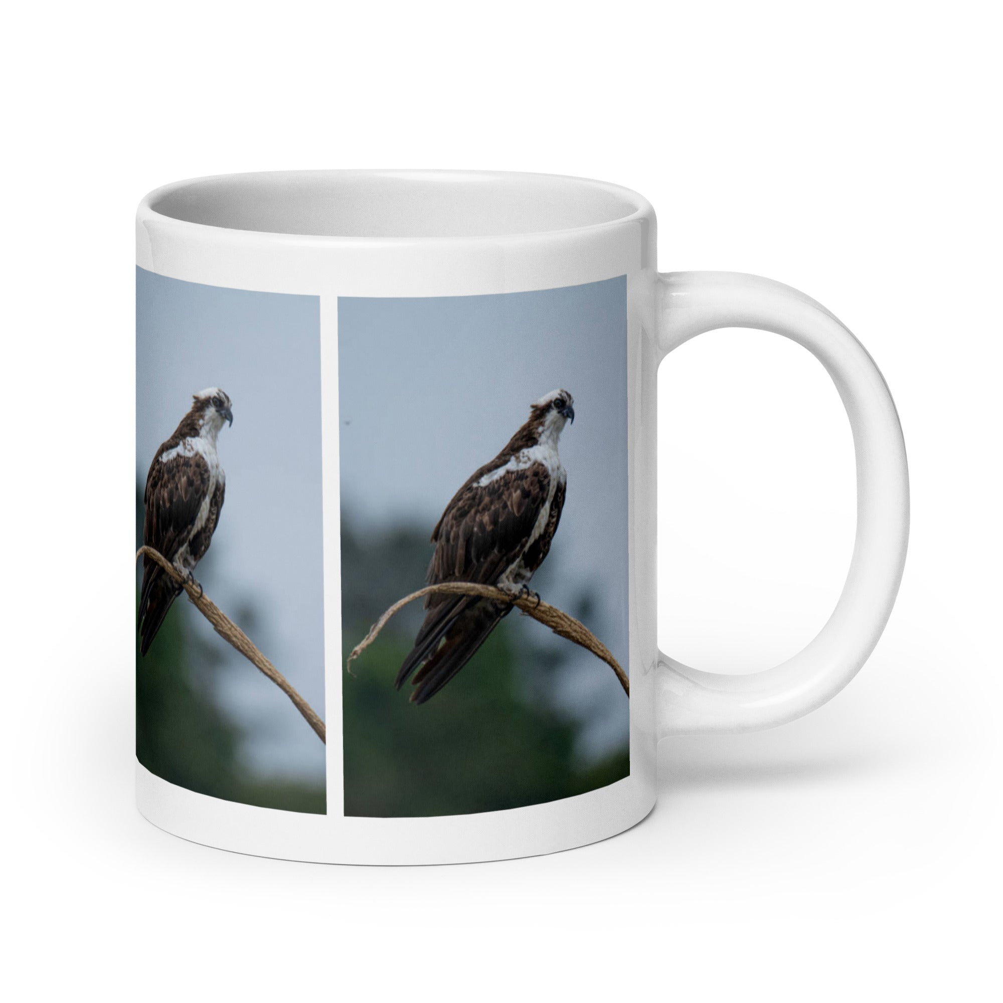 "Osprey Mug #1: The Daring Diver (Ceramic)"