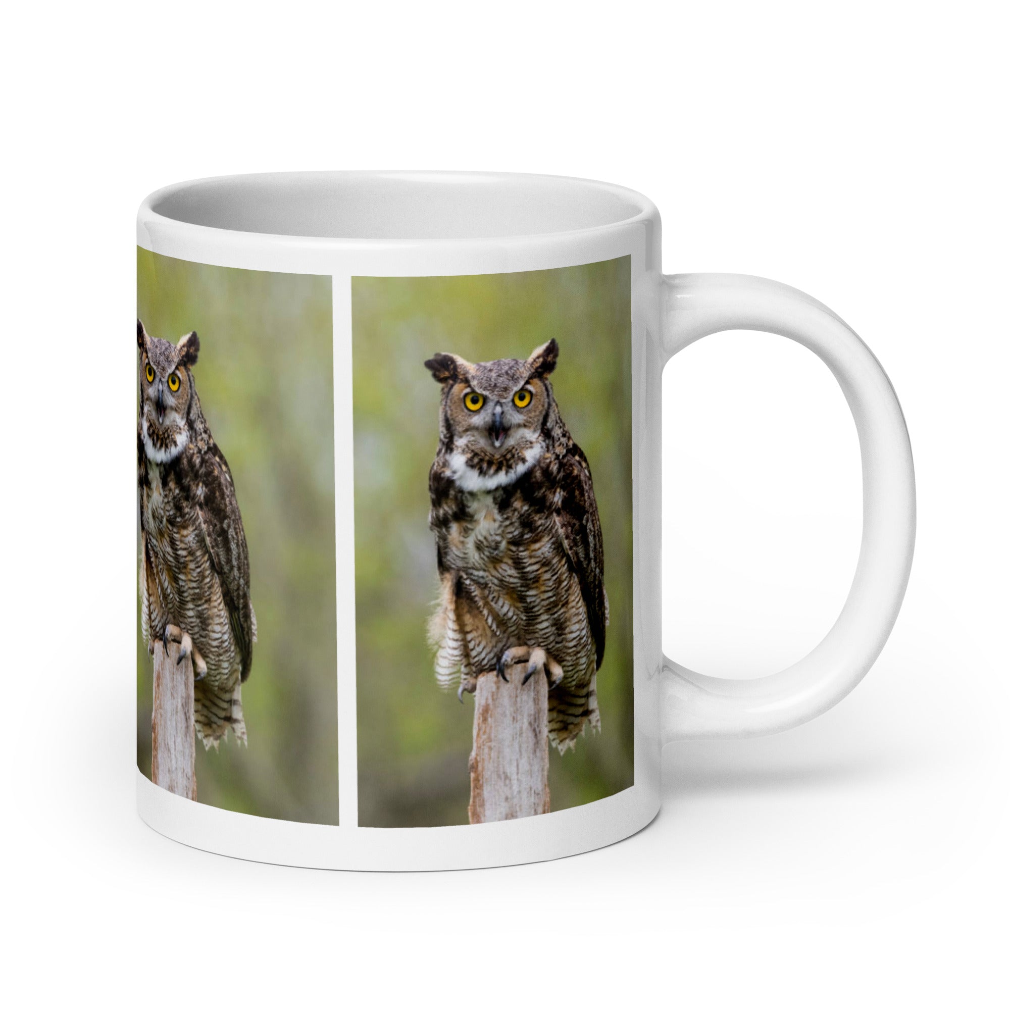 "Owl Mug #1: The Wise Watcher (Ceramic)"