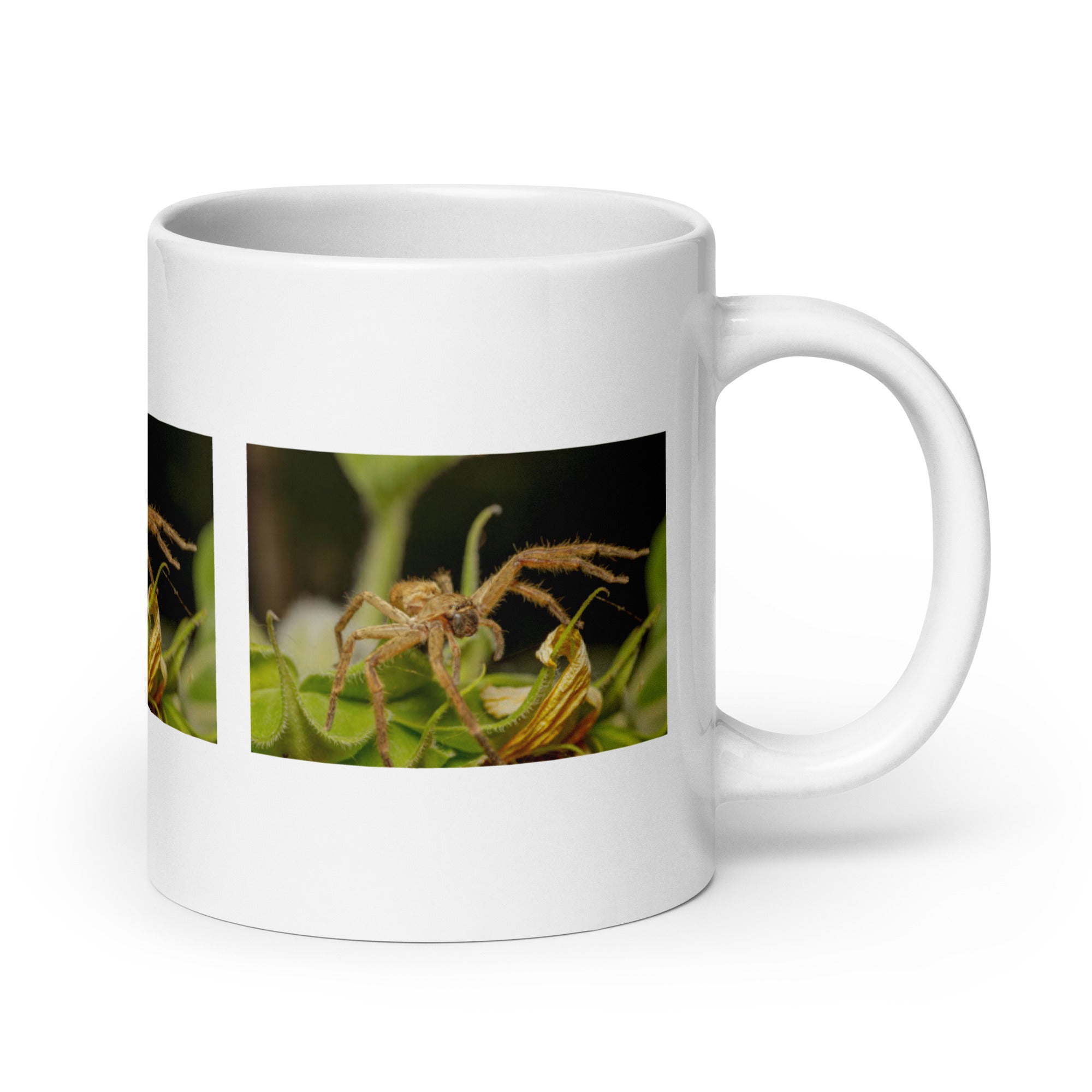 "Spider Mug #1: The Web-Spinning Weaver (Ceramic)"