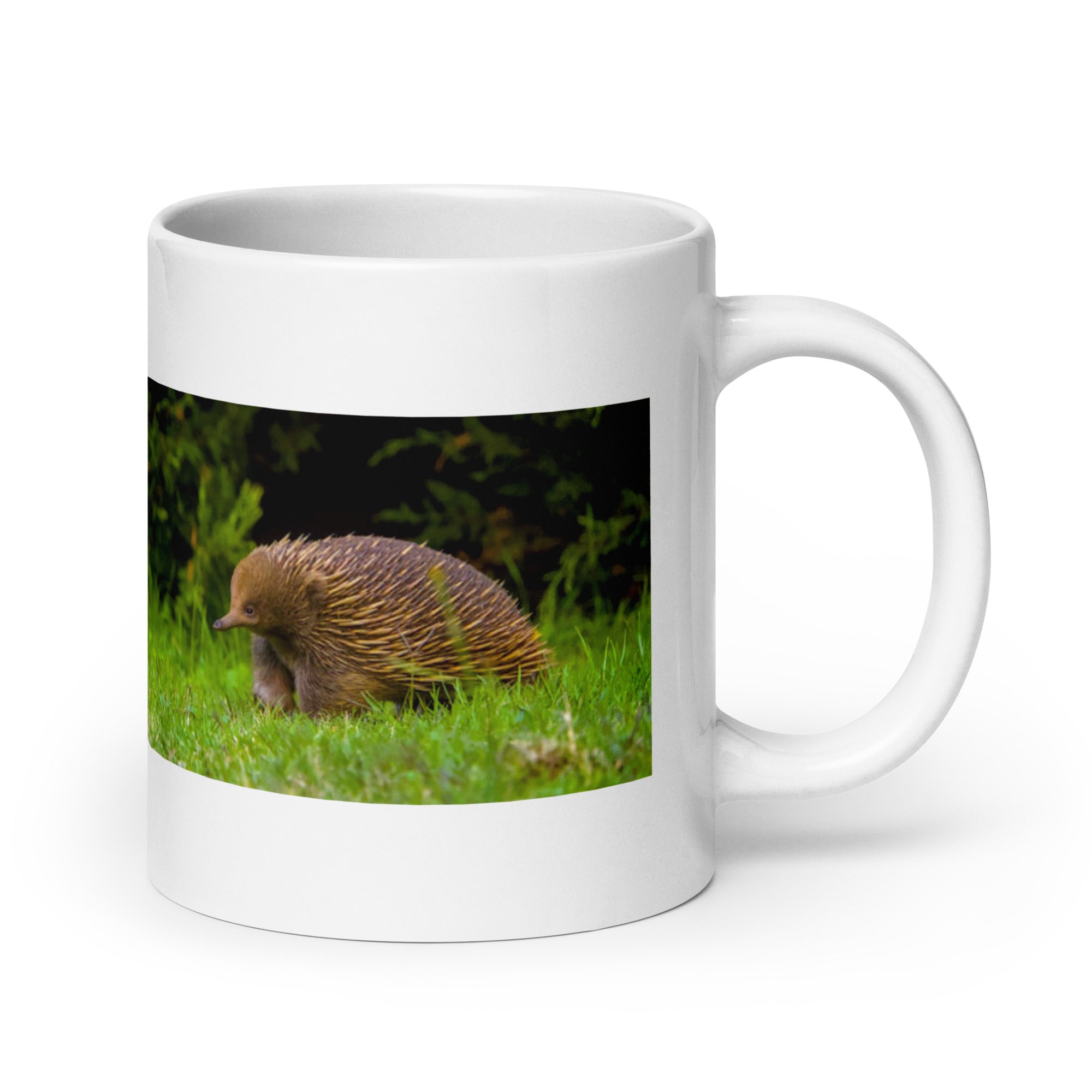 "Echidna Mug #1: The Spiny Anteater (Ceramic)"