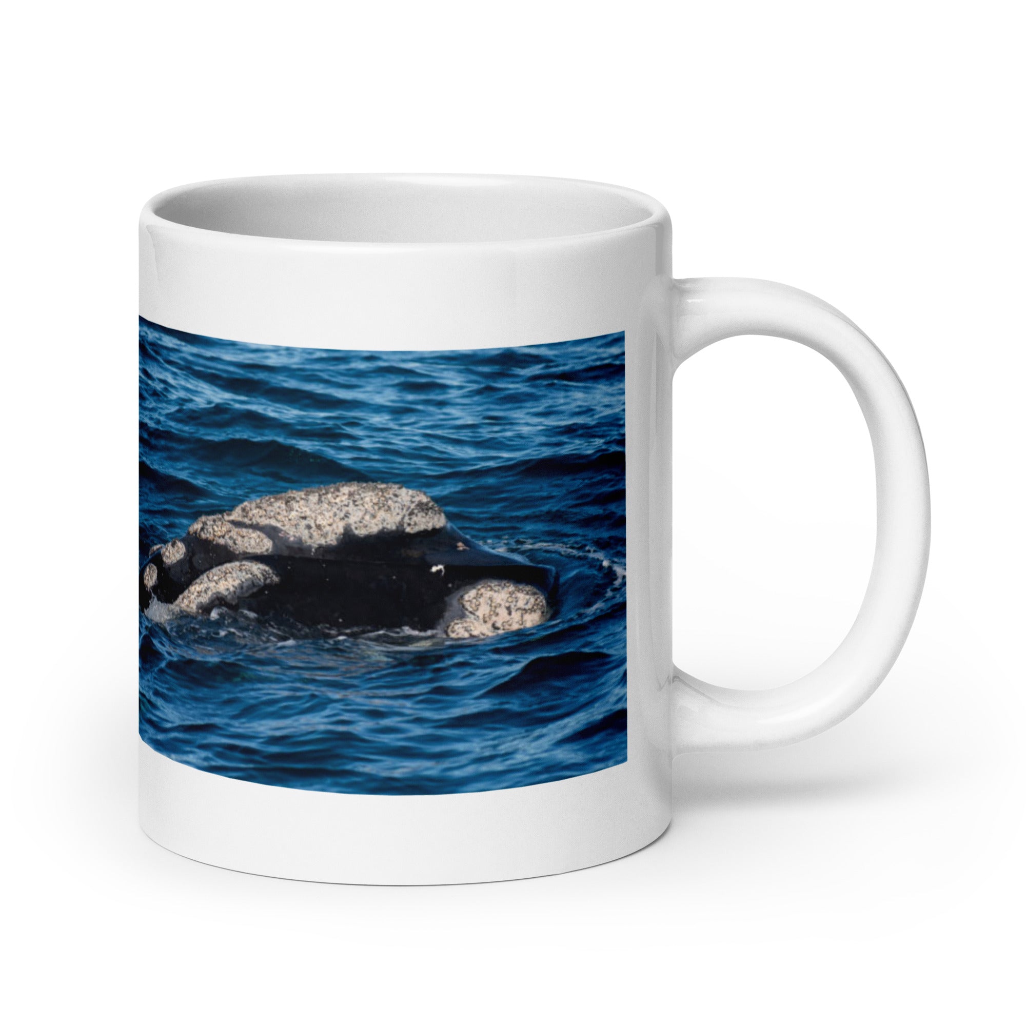 Southern Right Whale Mug #1: The Callosities Connoisseur (Ceramic)