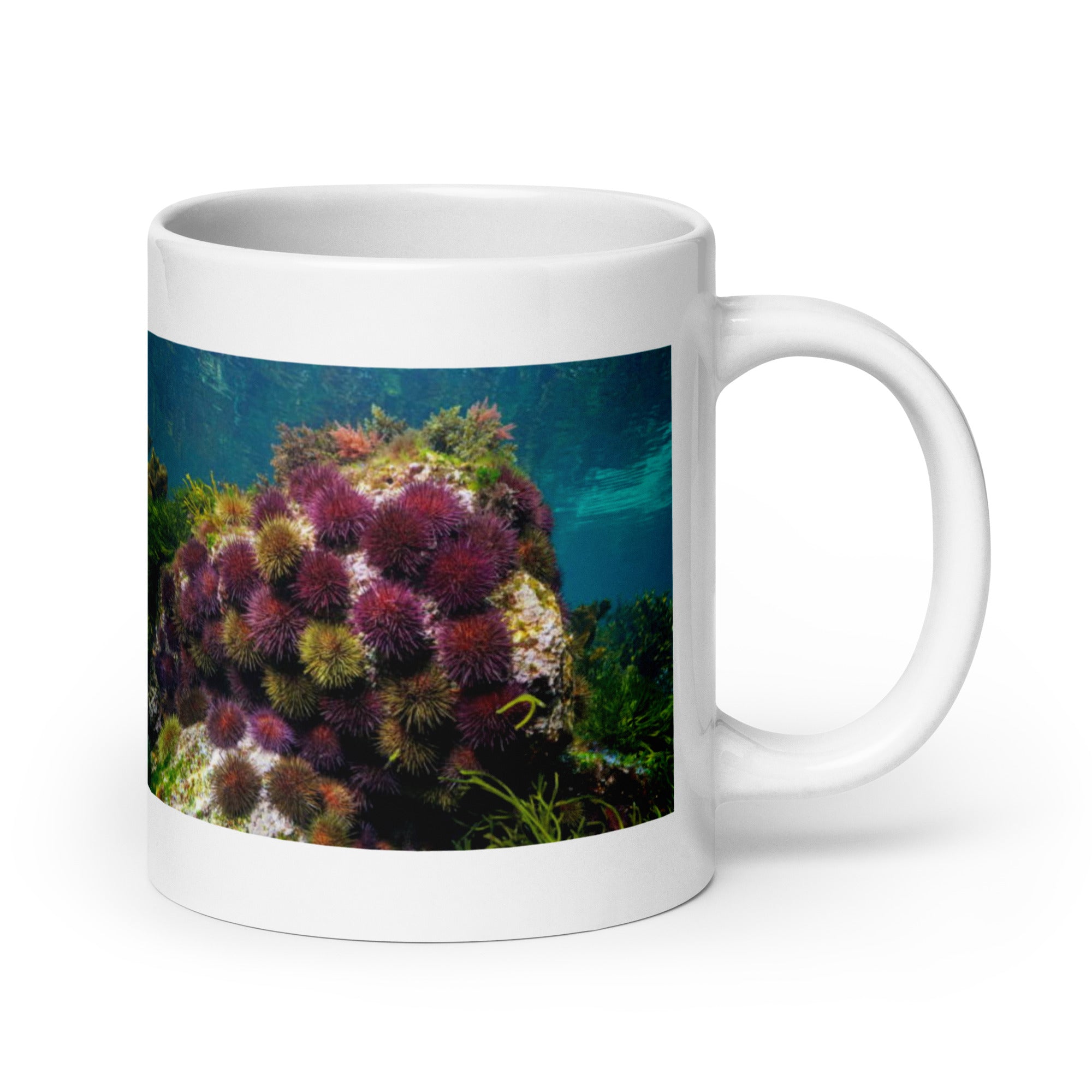 Sea Urchin Mug #1: The Spiny Defender (Ceramic)