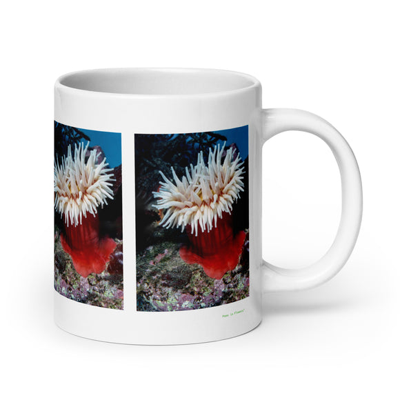 20 oz. white ceramic sea anemone mug showing a sea anemone in its natural habitat