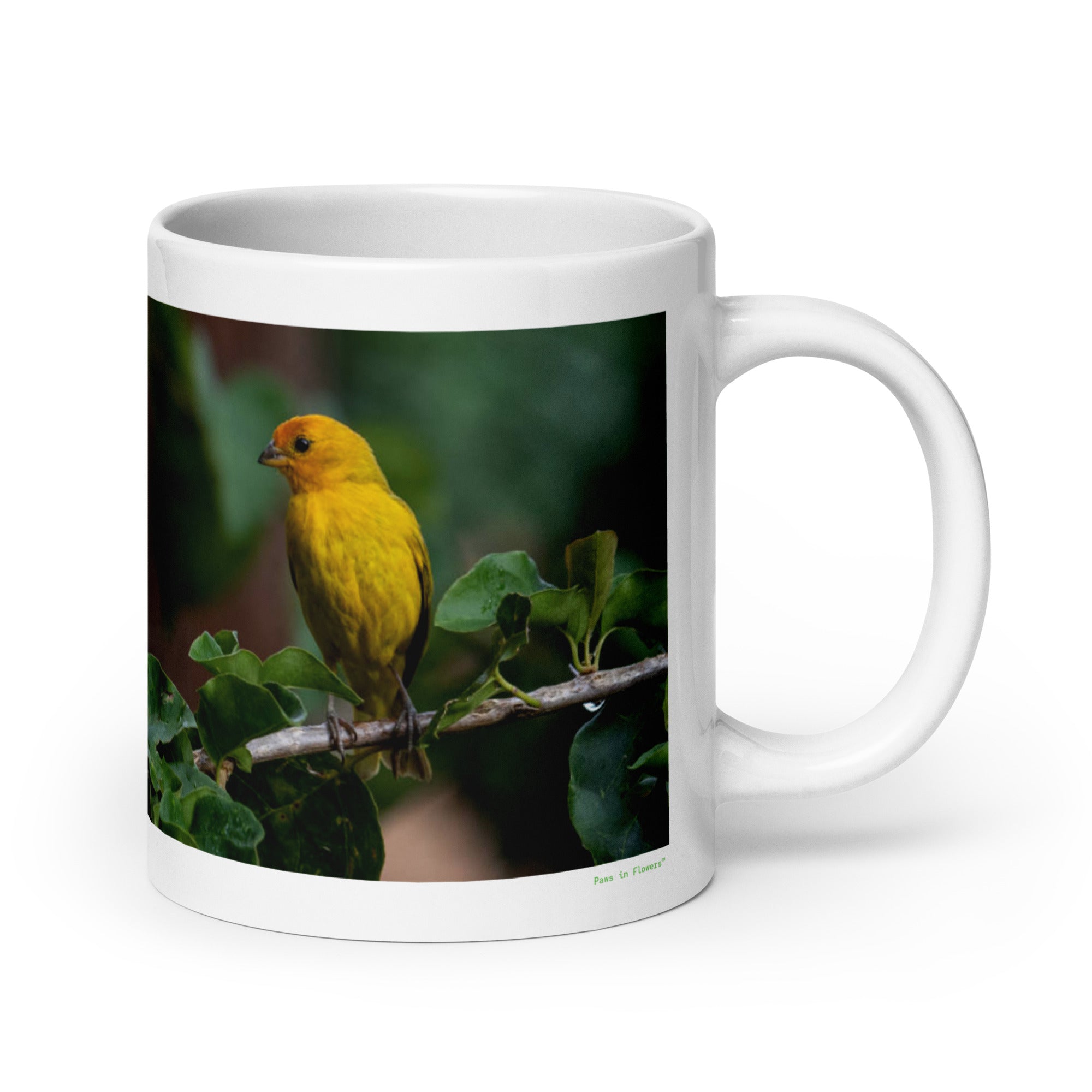 20 oz. white ceramic canary mug showing a canary in its natural habitat