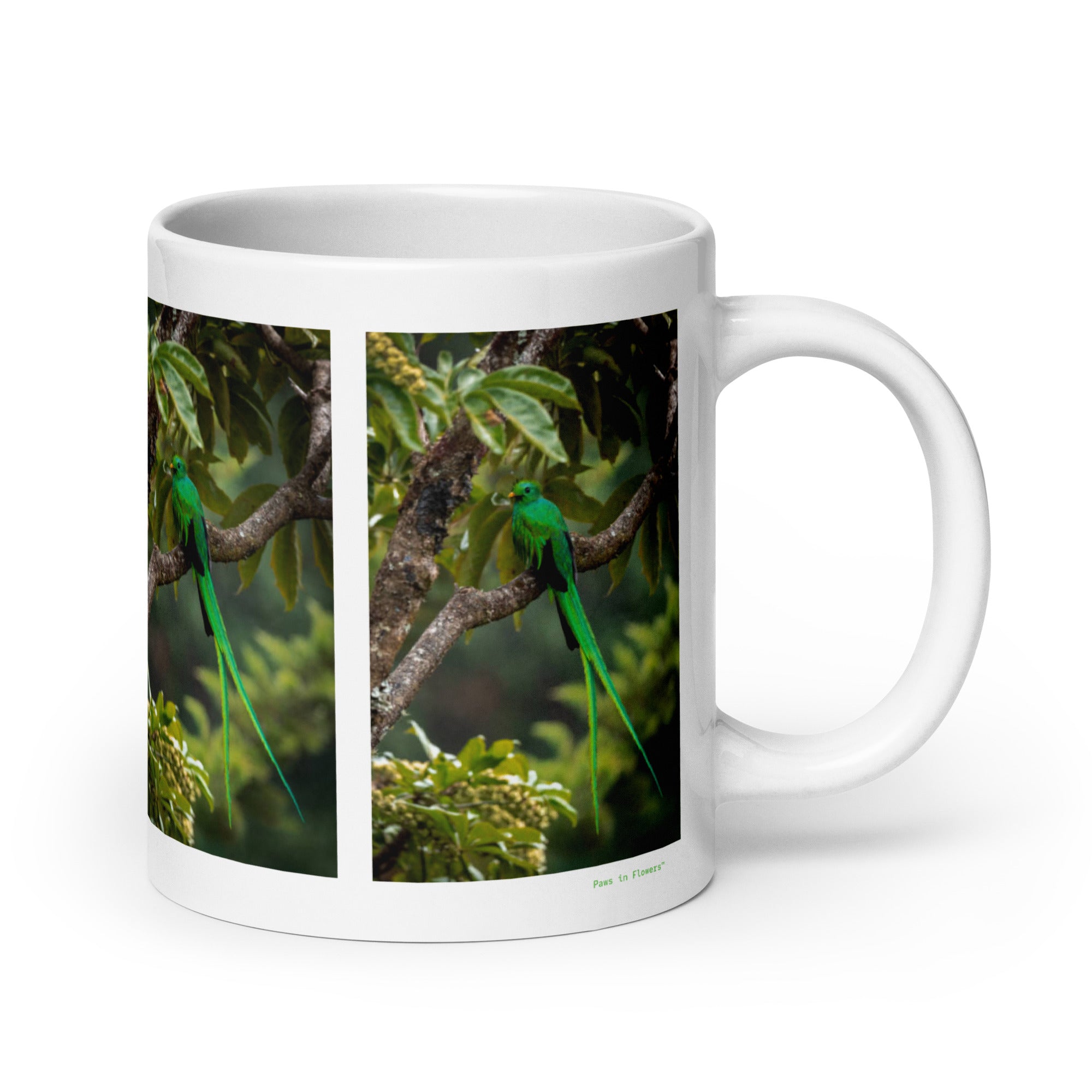 20 oz. white ceramic quetzal mug showing a quetzal in its natural habitat