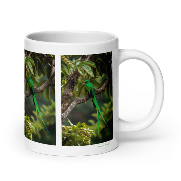 20 oz. white ceramic quetzal mug showing a quetzal in its natural habitat