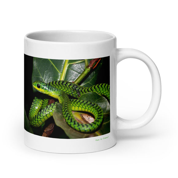 20 oz. white ceramic boomslang mug showing a boomslang in its natural habitat